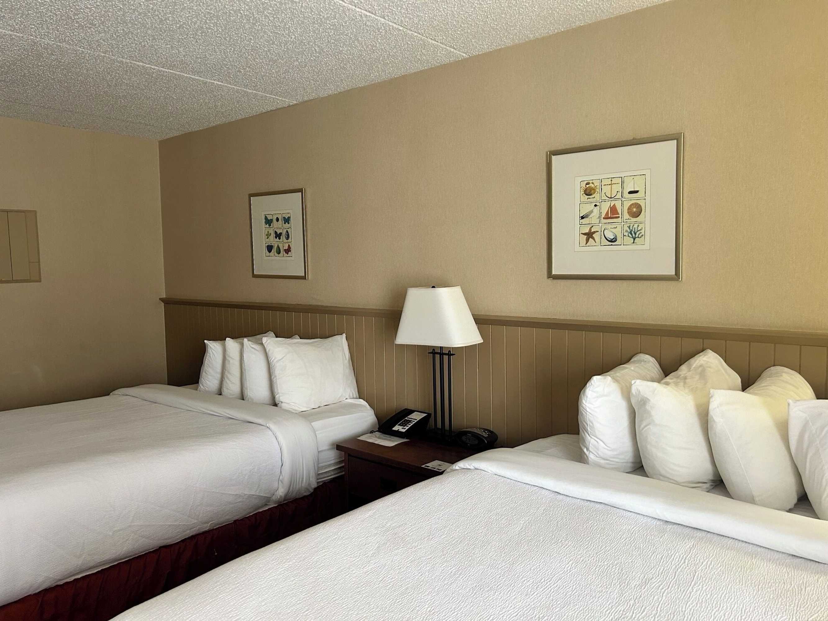 Gift card for Charlottetown Inn & Conference Centre Gift card for Charlottetown Inn & Conference Centre