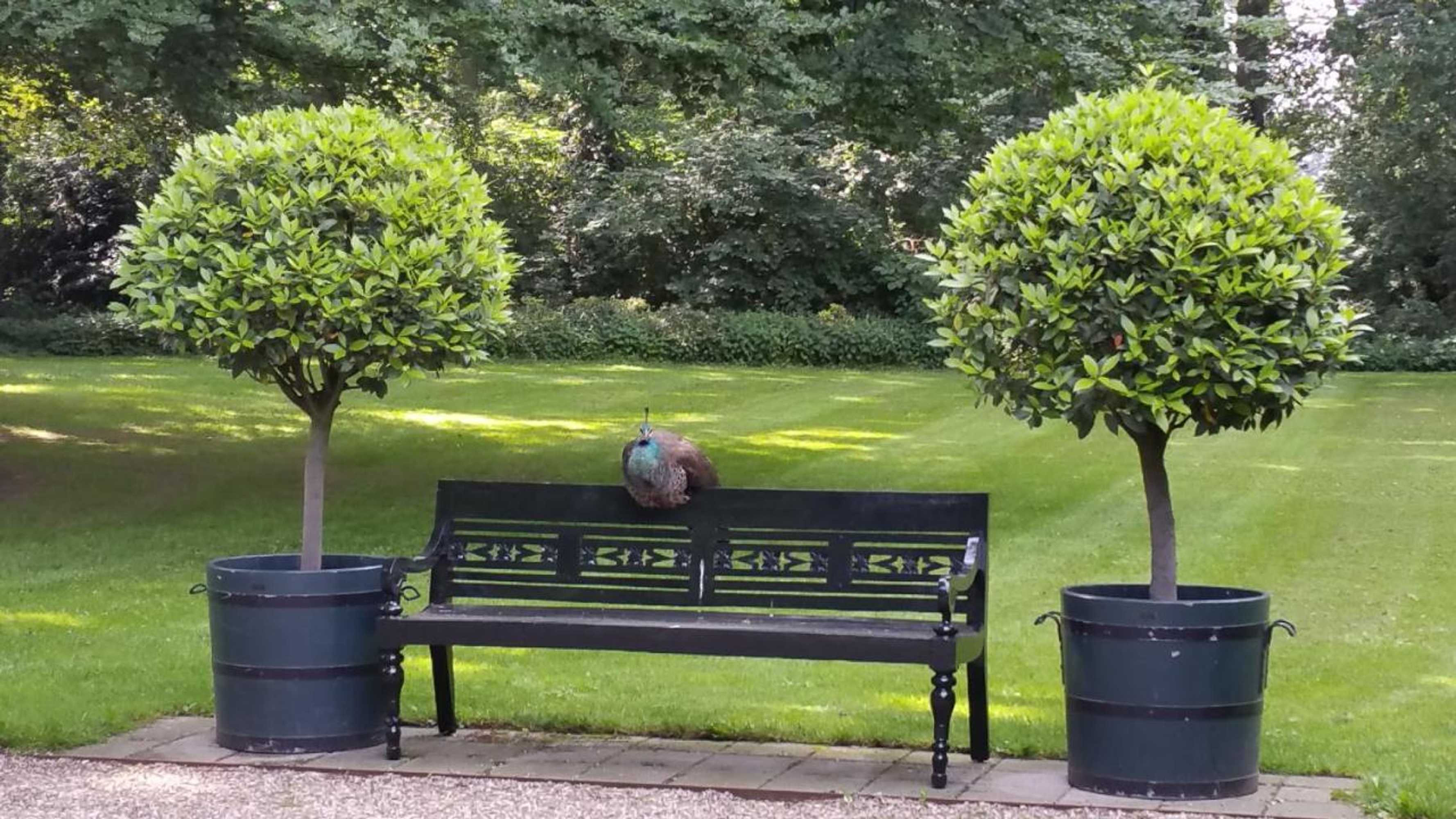 Gift card for B&b en Spa Landgoed Matanze