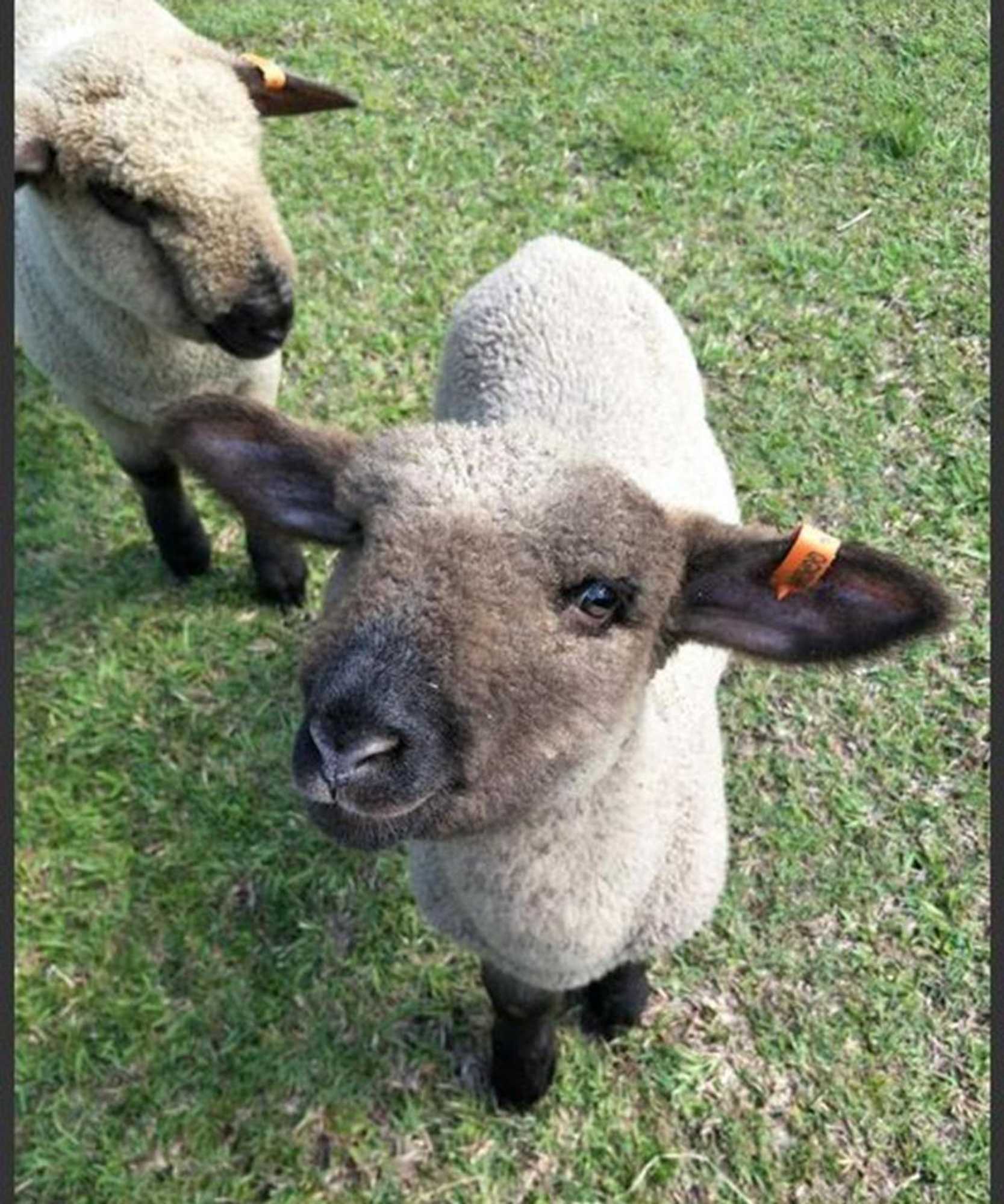 Gift card for Bielby's Hideaway