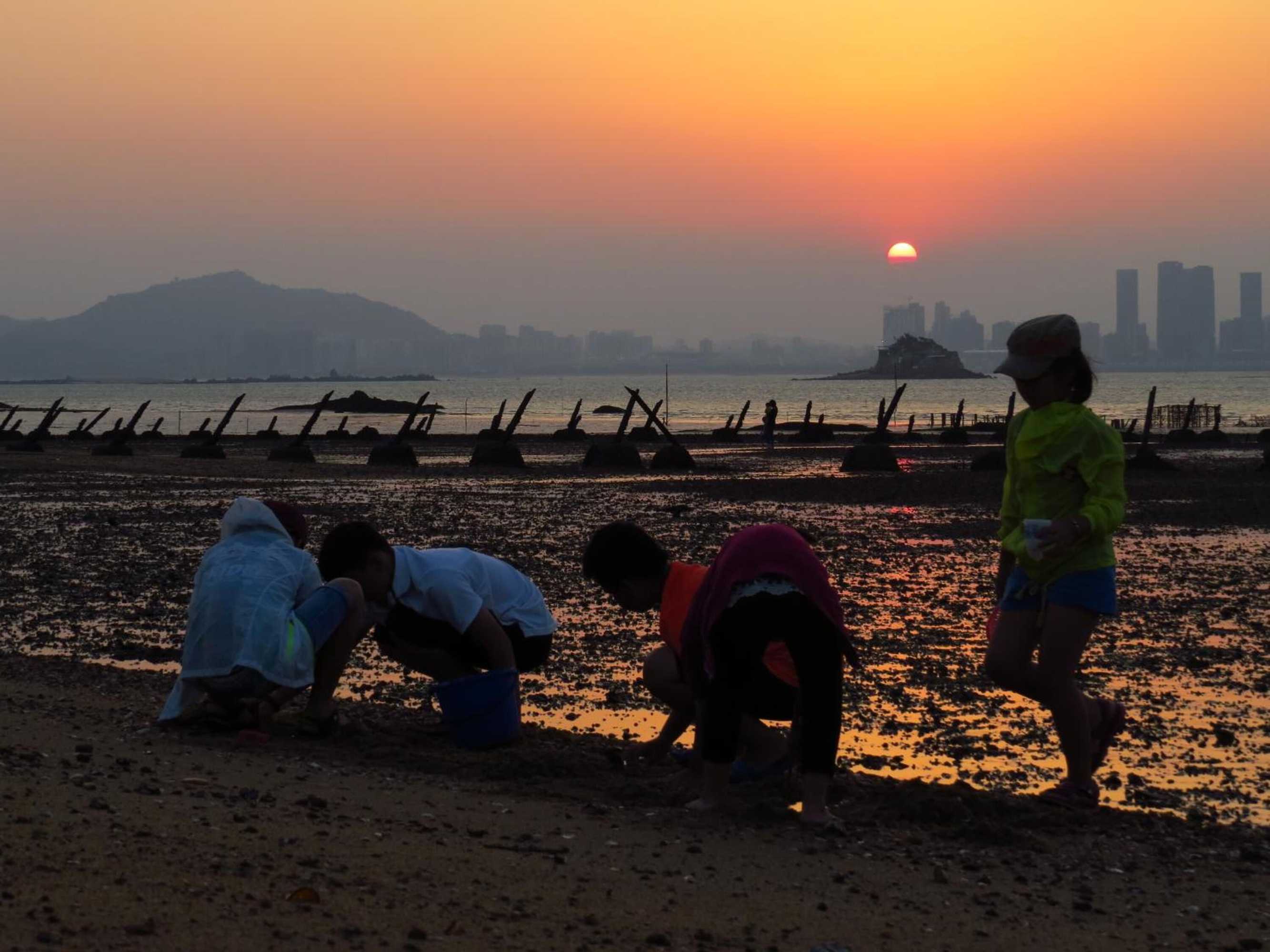 Gift card for Mao Gong Shi