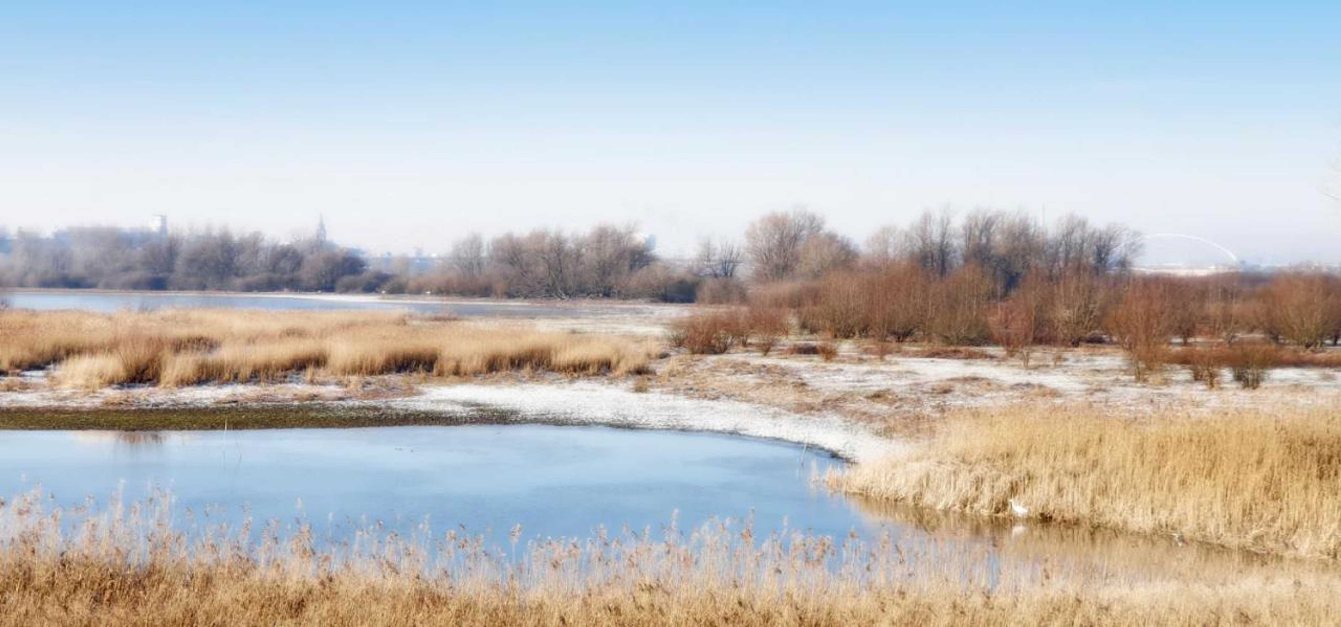 Gift card for Waard Van Kekerdom