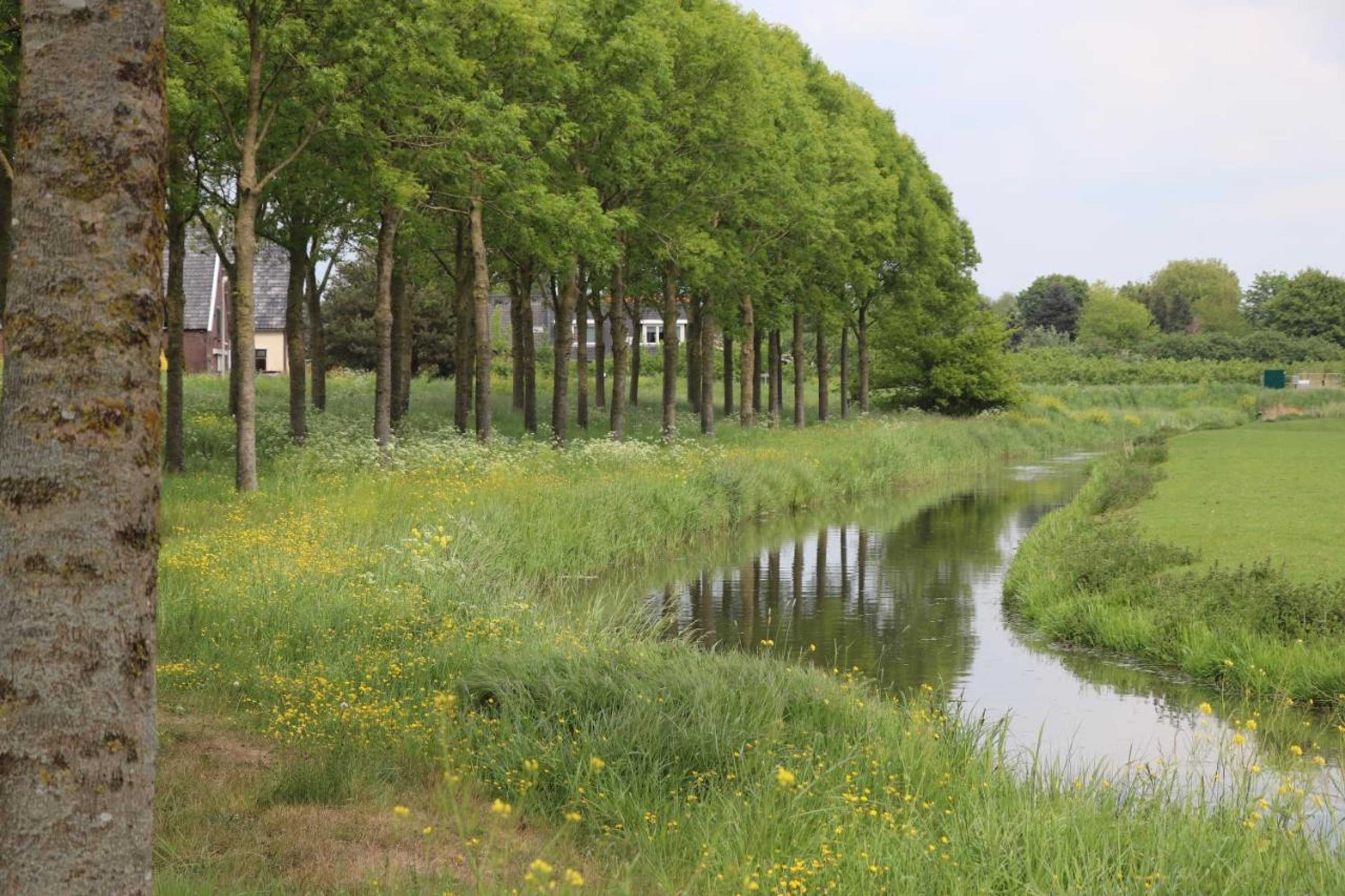 Gift card for Kade10buren