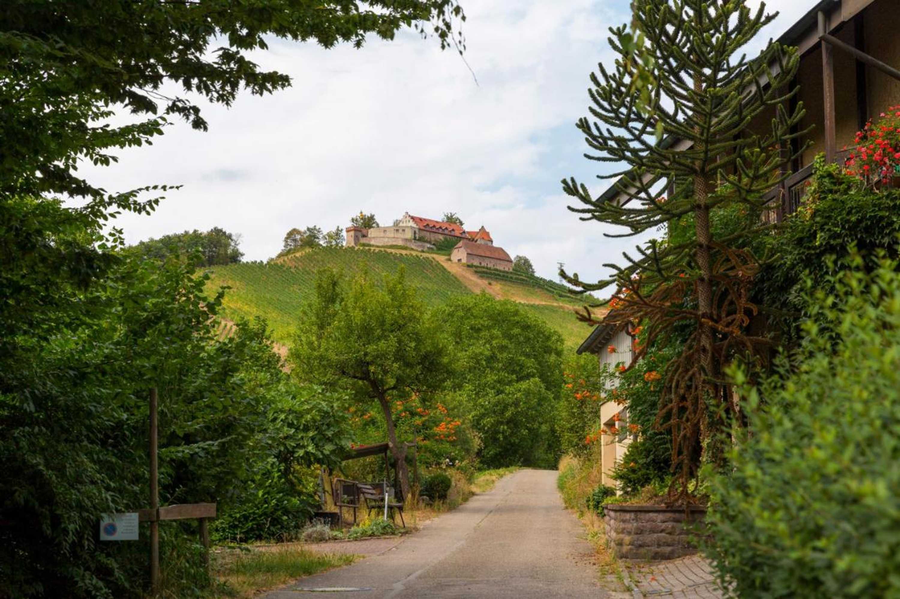 Gift card for Panoramablick Pension