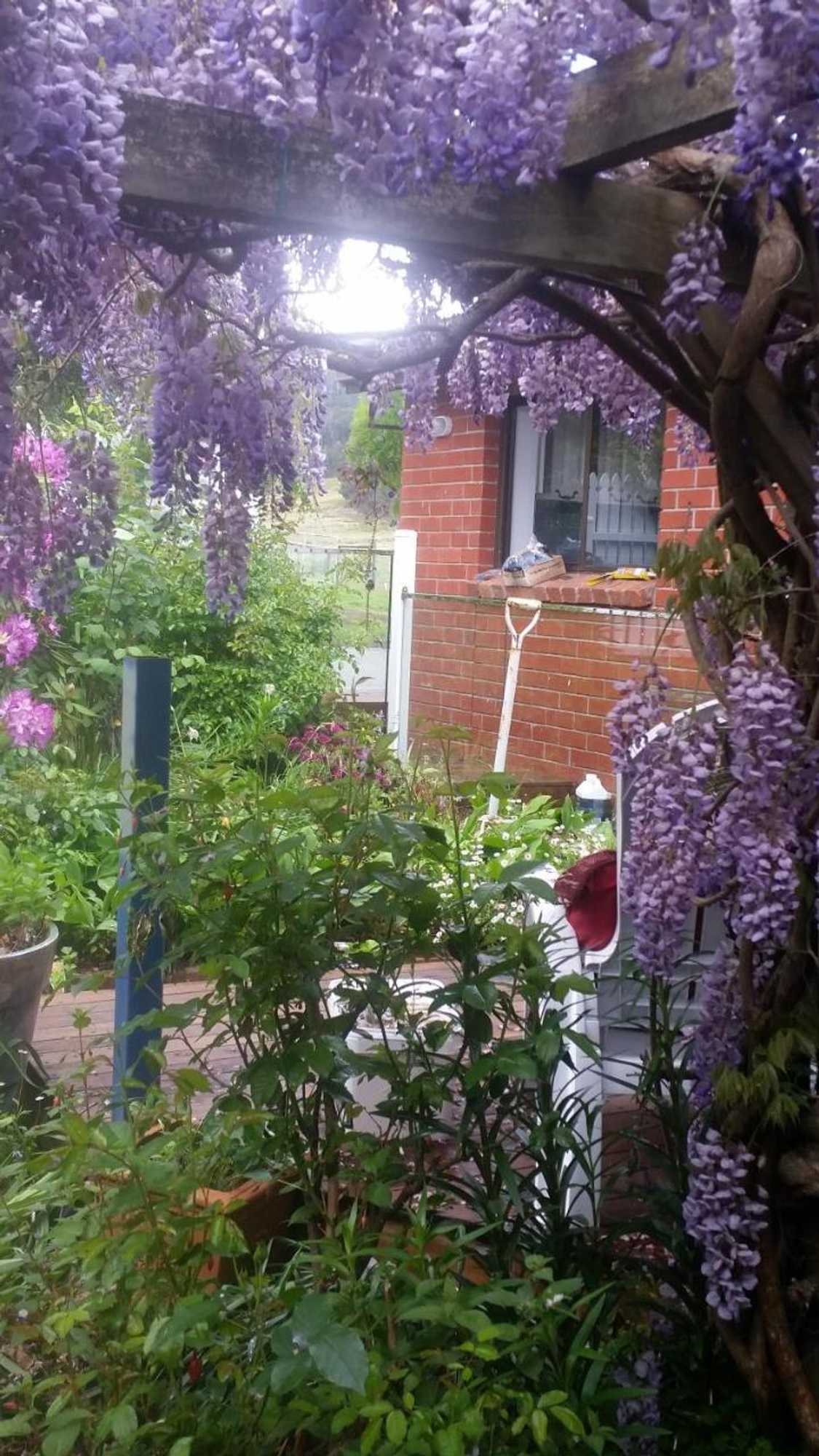 Gift card for Birch Lane