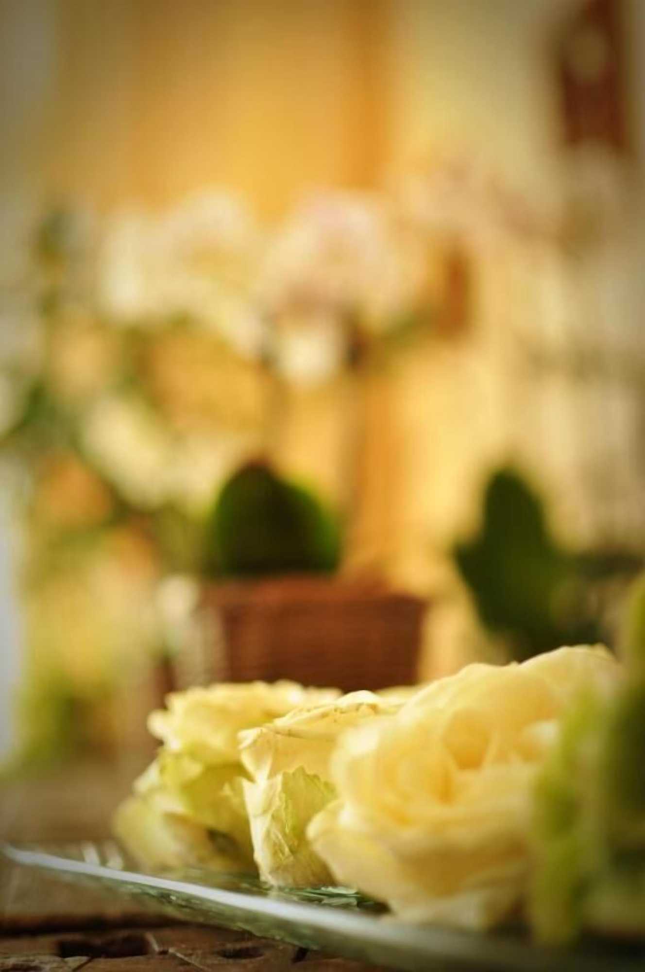 Gift card for Hotel Litjes