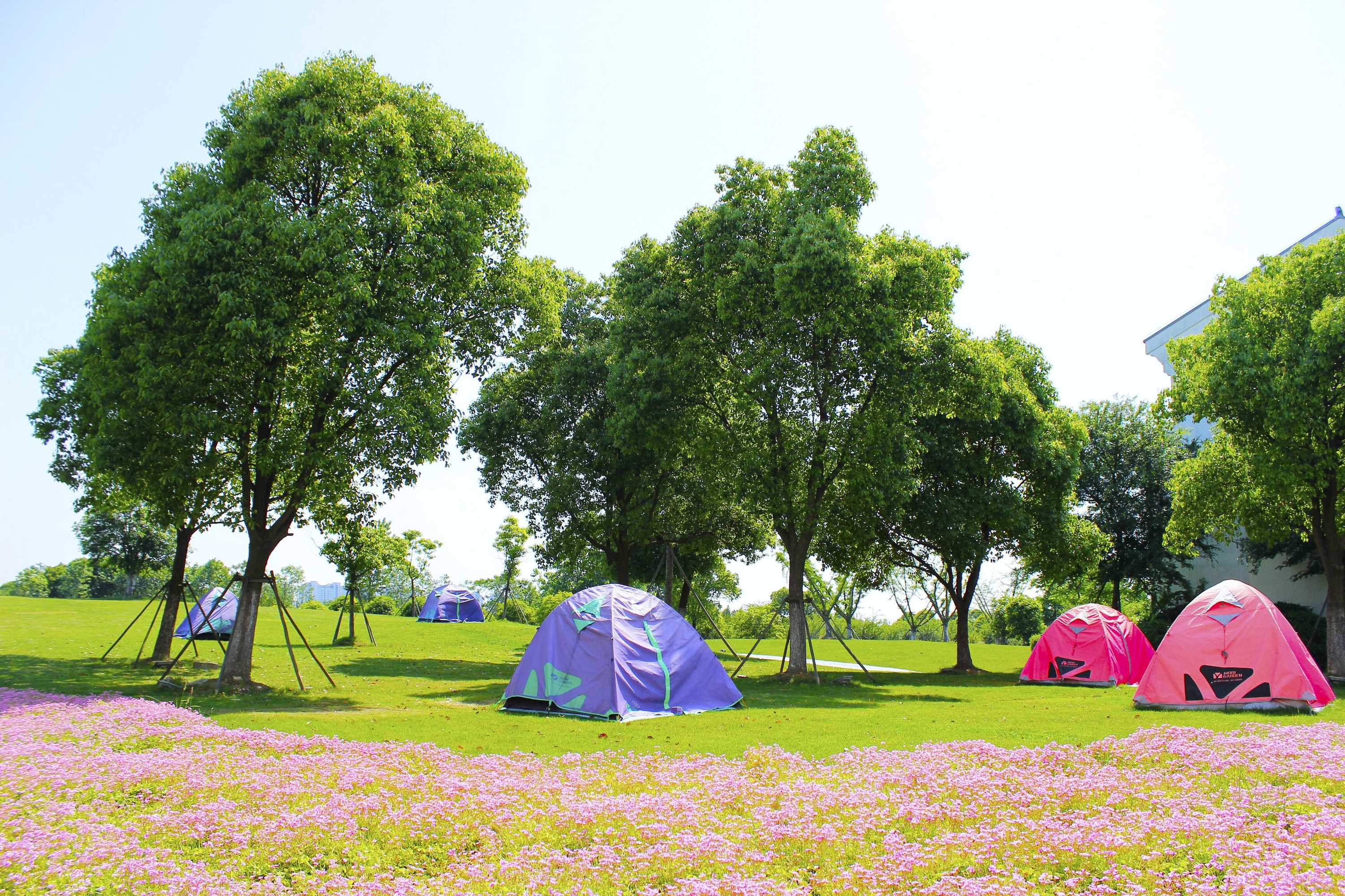 Gift card for Radisson Blu Resort Wetland Park Wuxi Gift card for Radisson Blu Resort Wetland Park Wuxi