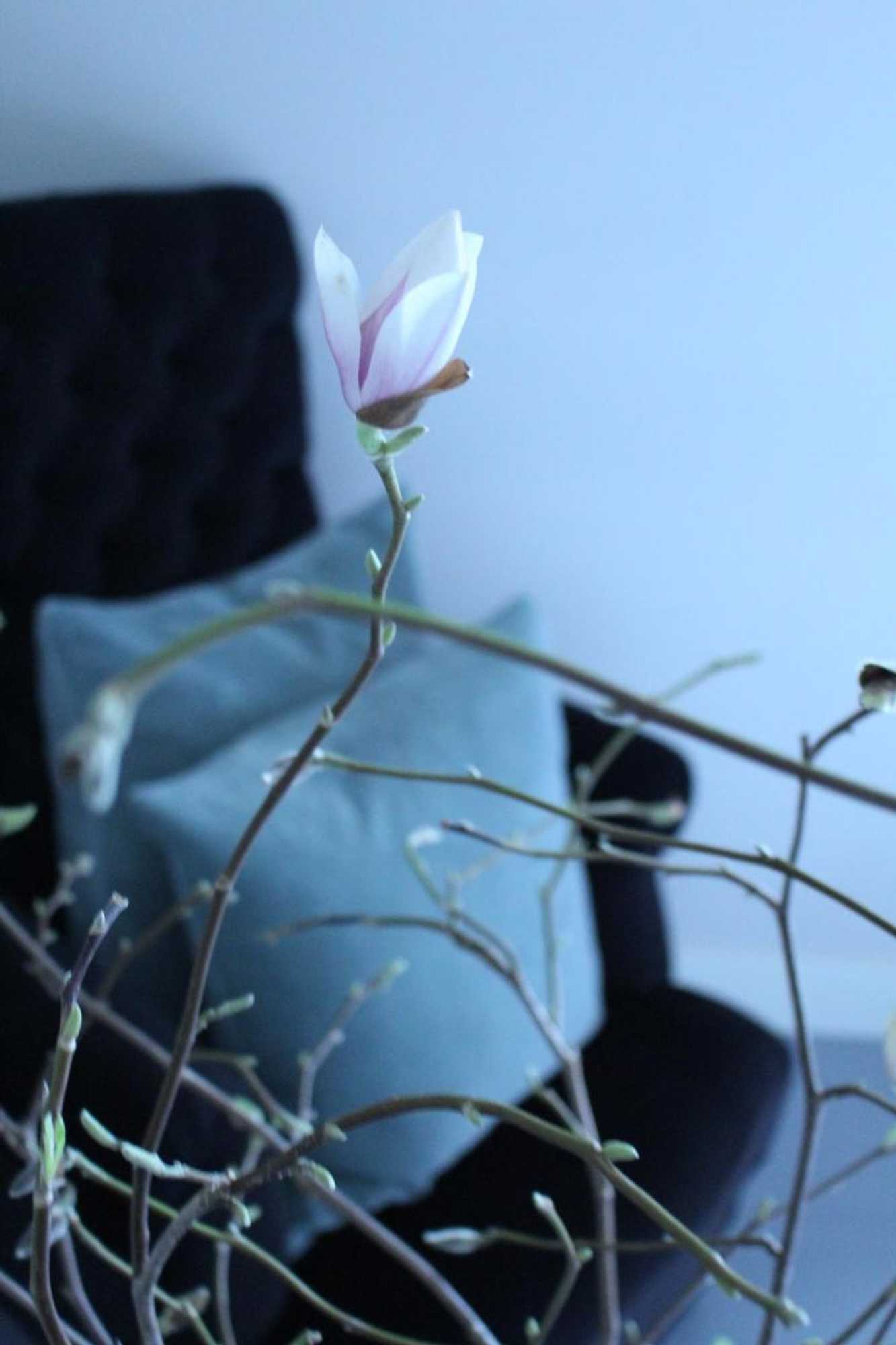 Gift card for Bed & Breakfast Karakter