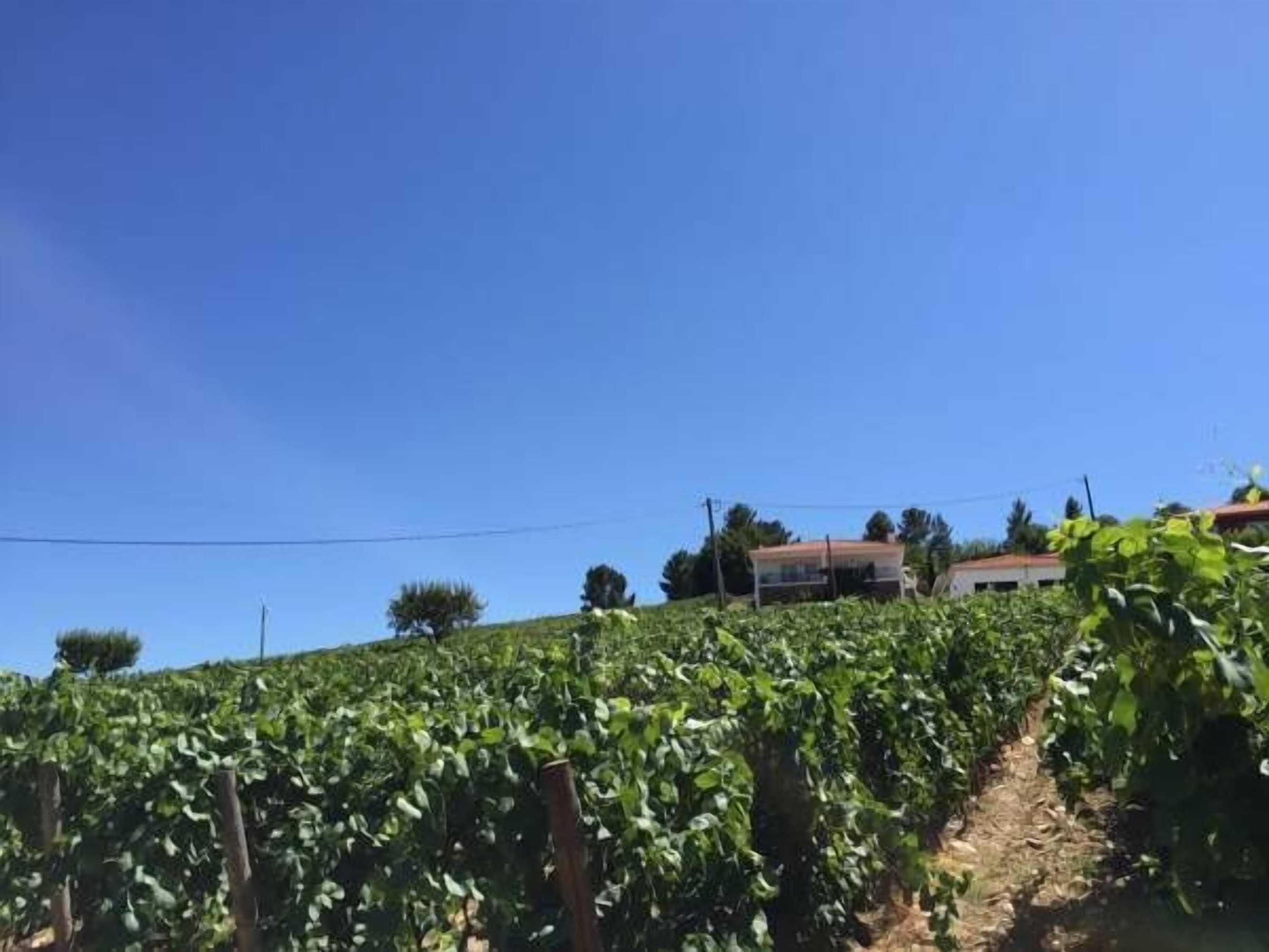 Gift card for Quinta Dos Espinheiros Gift card for Quinta Dos Espinheiros