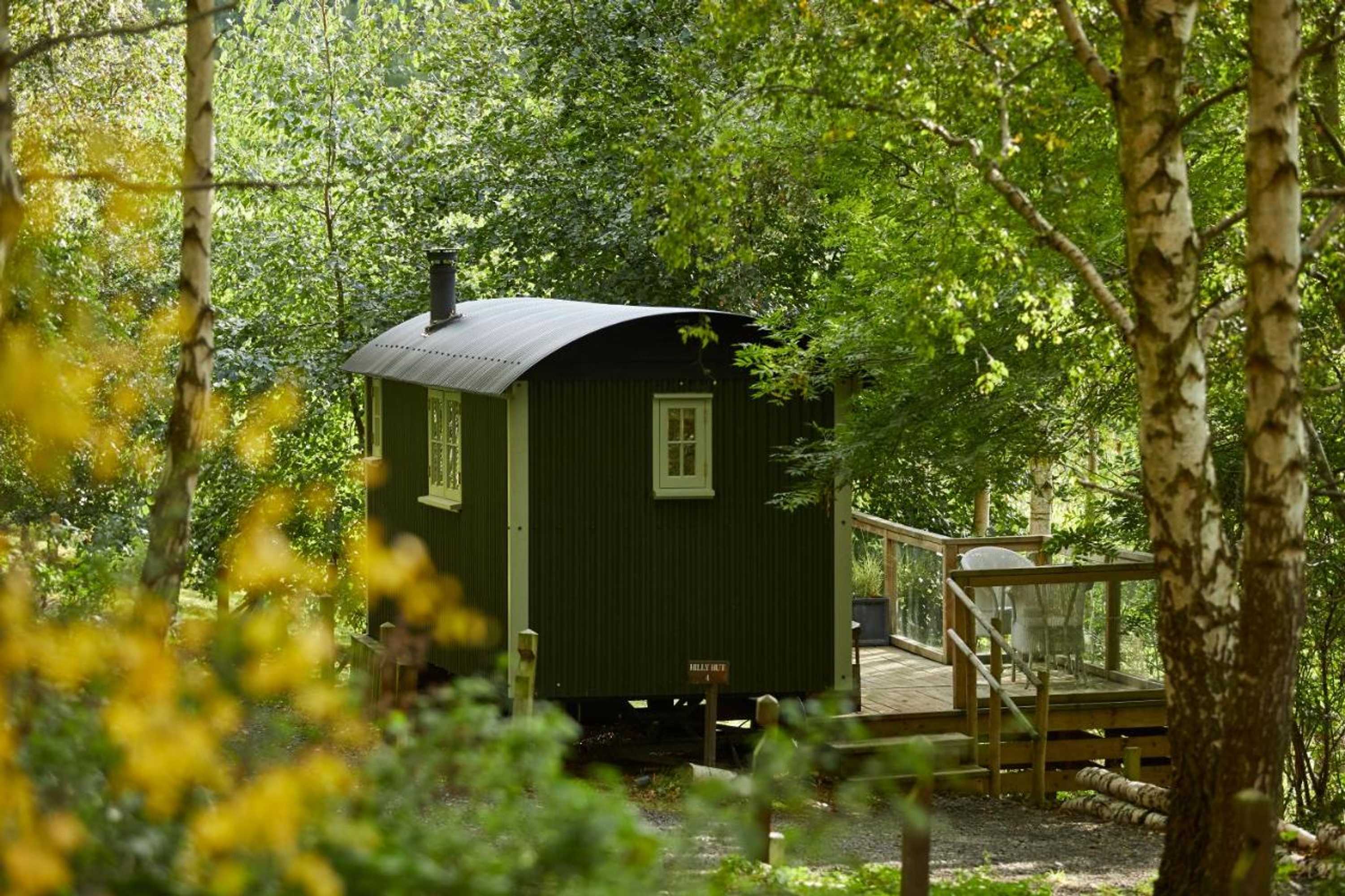 Gift card for The Fish Hotel