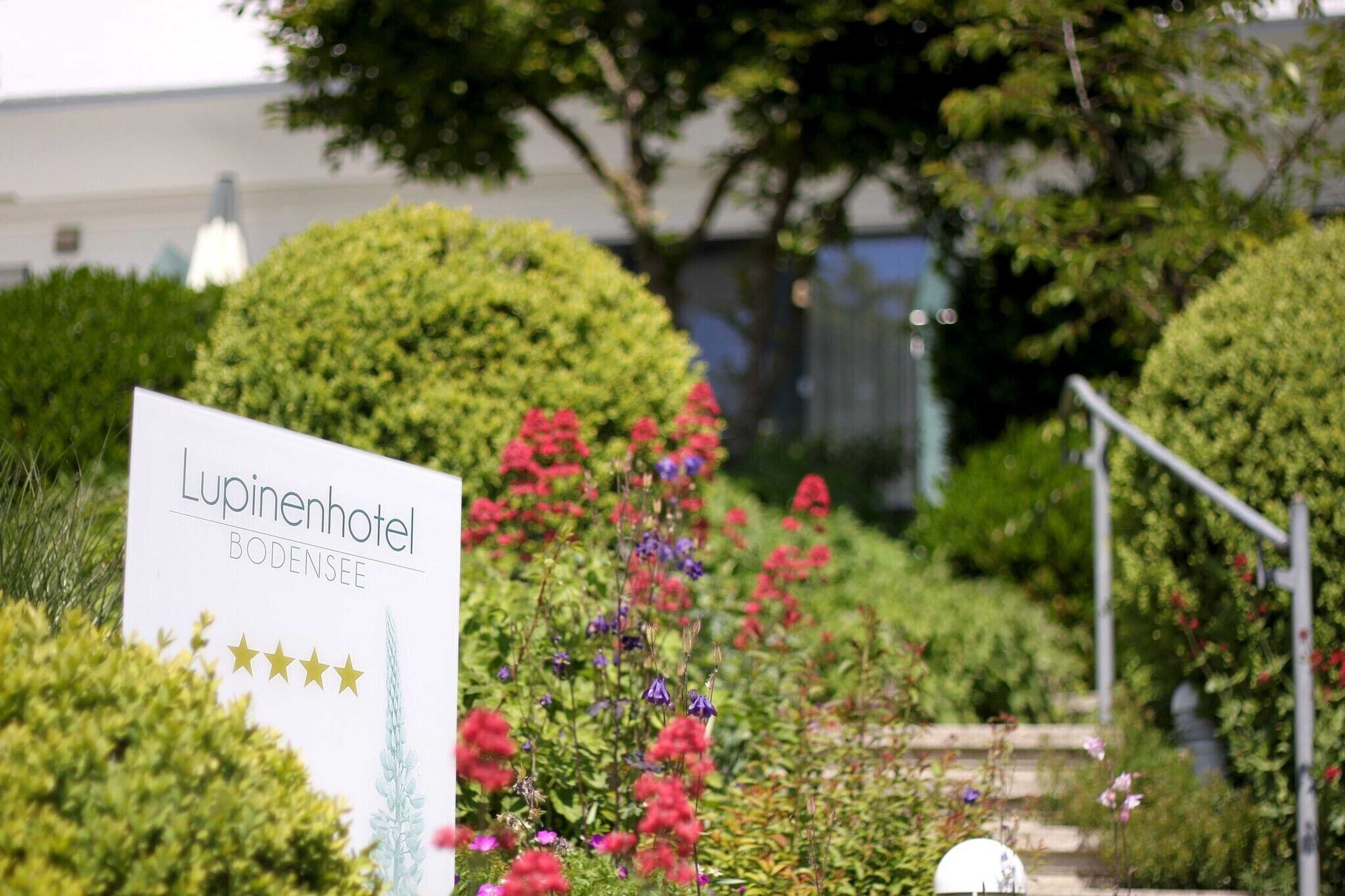 Gift card for Lupinenhotel Bodensee Gift card for Lupinenhotel Bodensee