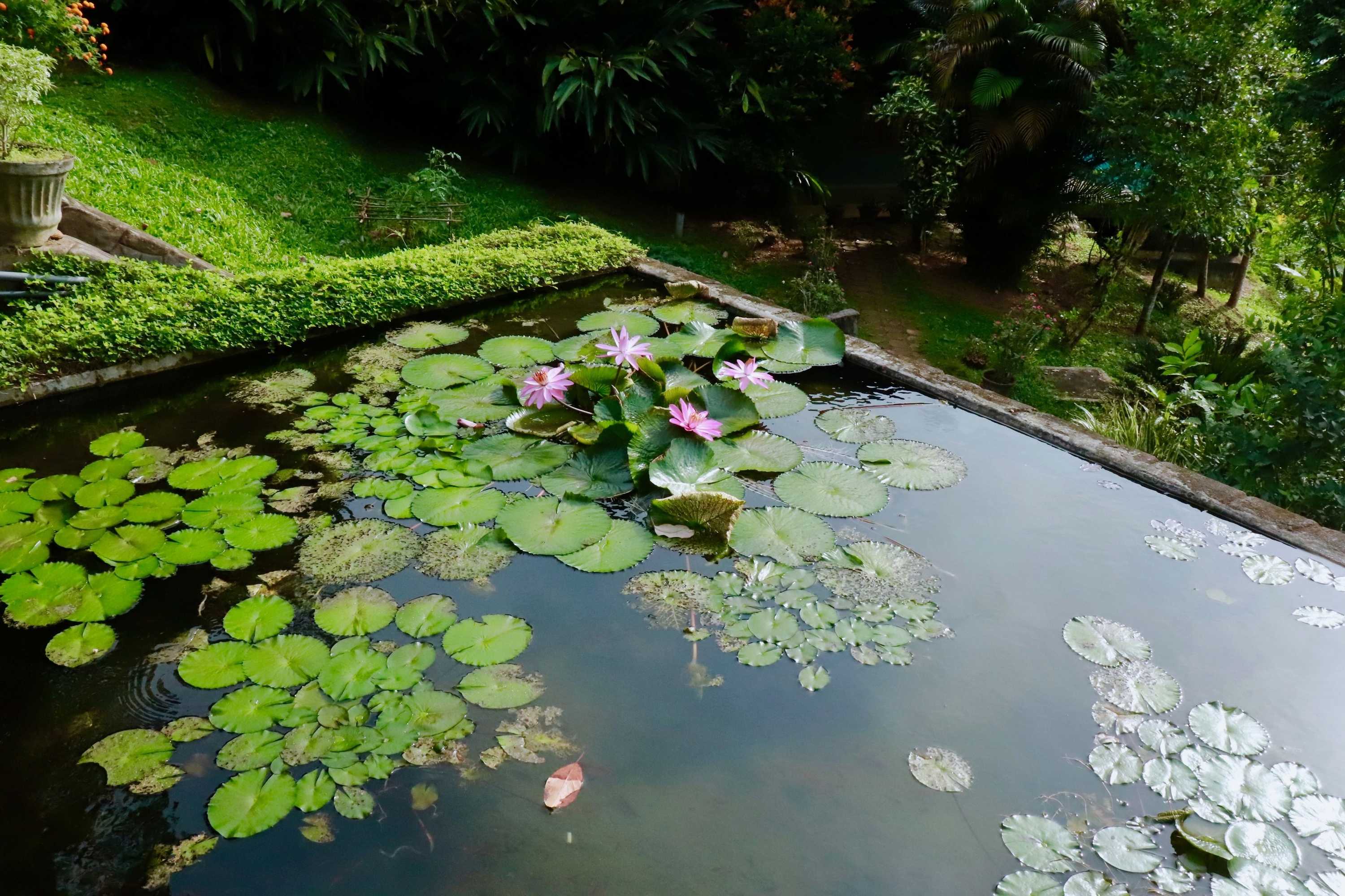 Gift card for Paradise Eco Garden