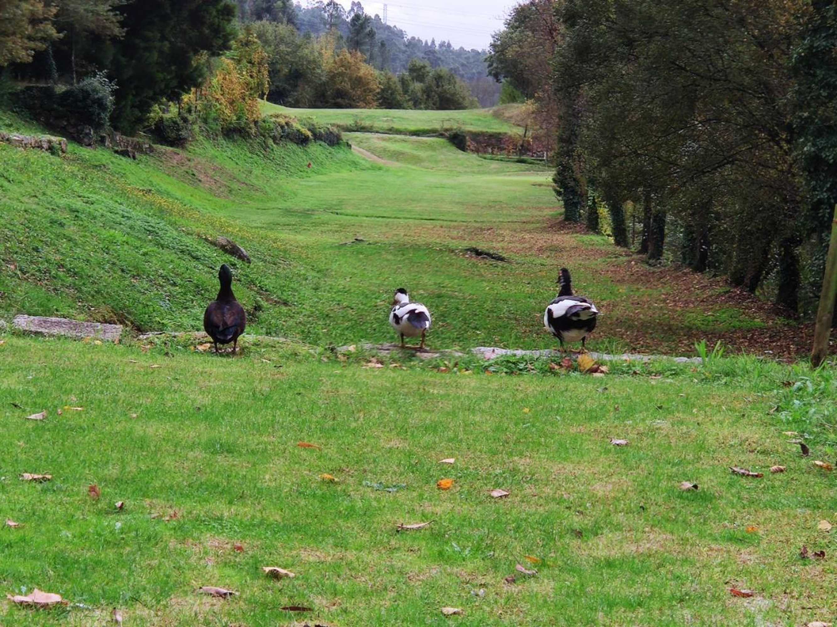 Gift card for Rilhadas Casas de Campo