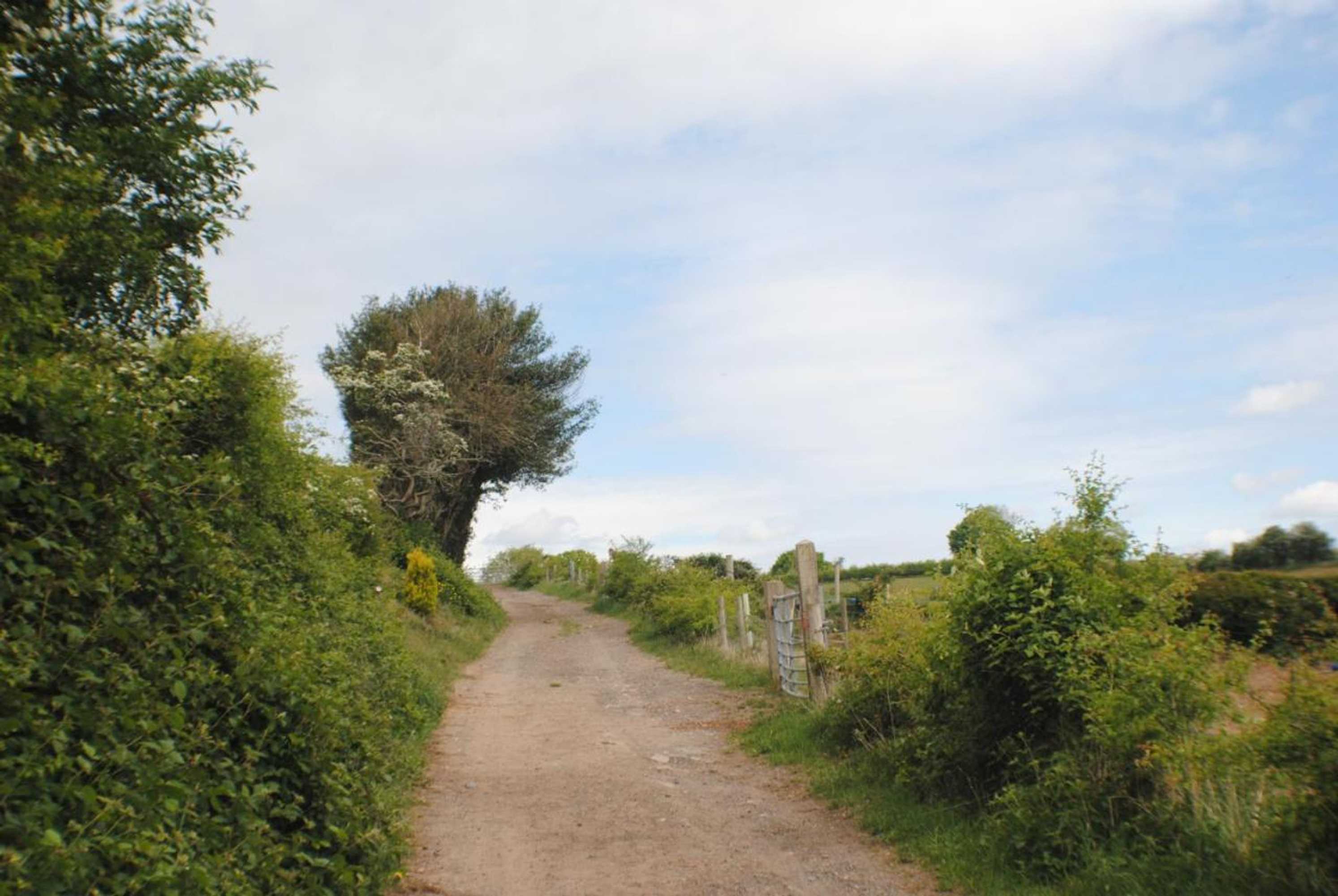 Gift card for Fairview Farm Holiday Accommodation 14 Luxury Lodges,cabins Suitable For Couples ,families And Groups,wedding Guests - Sleeps 2-65 Guests in Ravenshead, Nottingham Near Sherwood Forest Set in 88 Acres