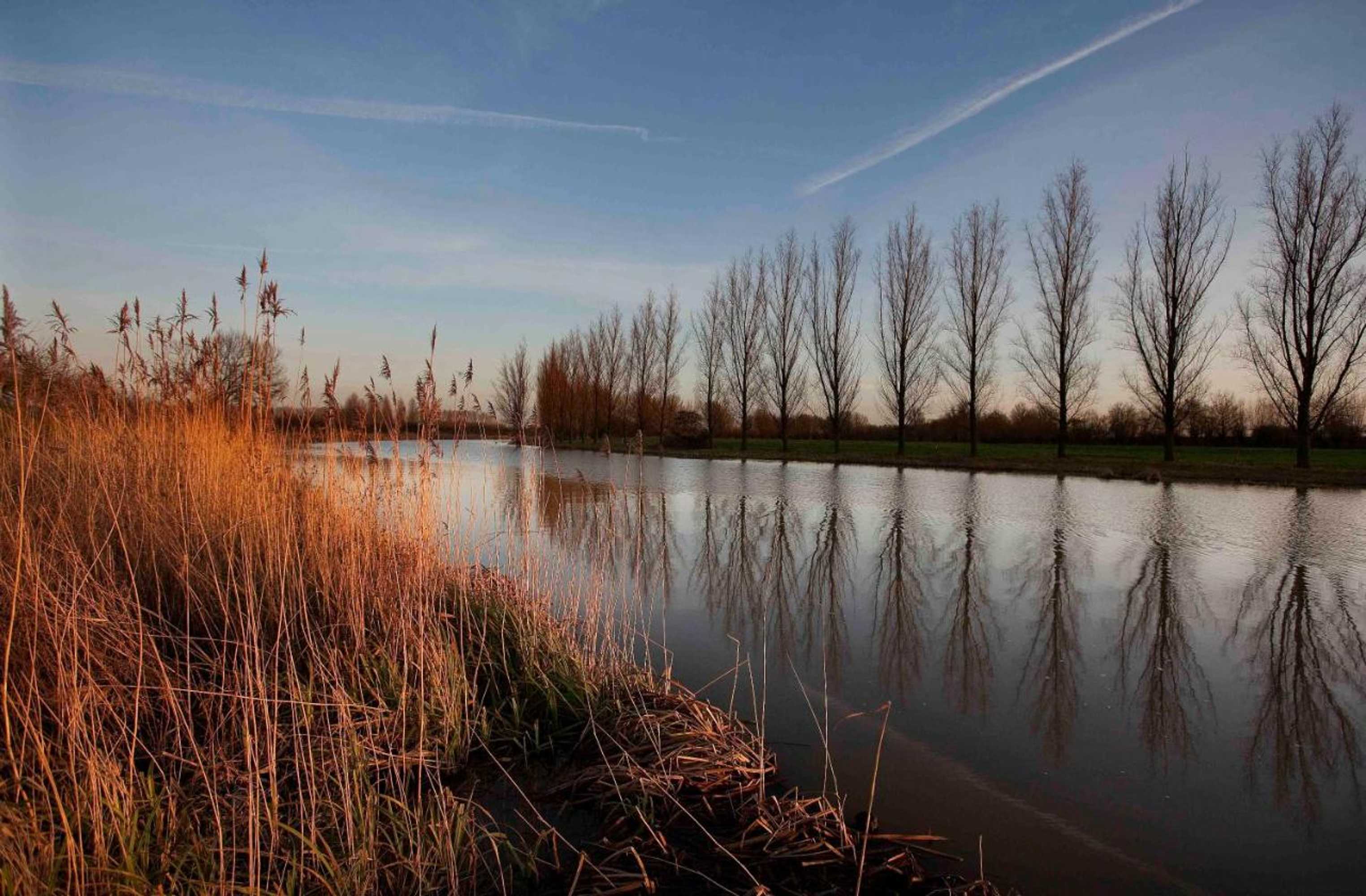 Gift card for Bed & Breakfast de Neust