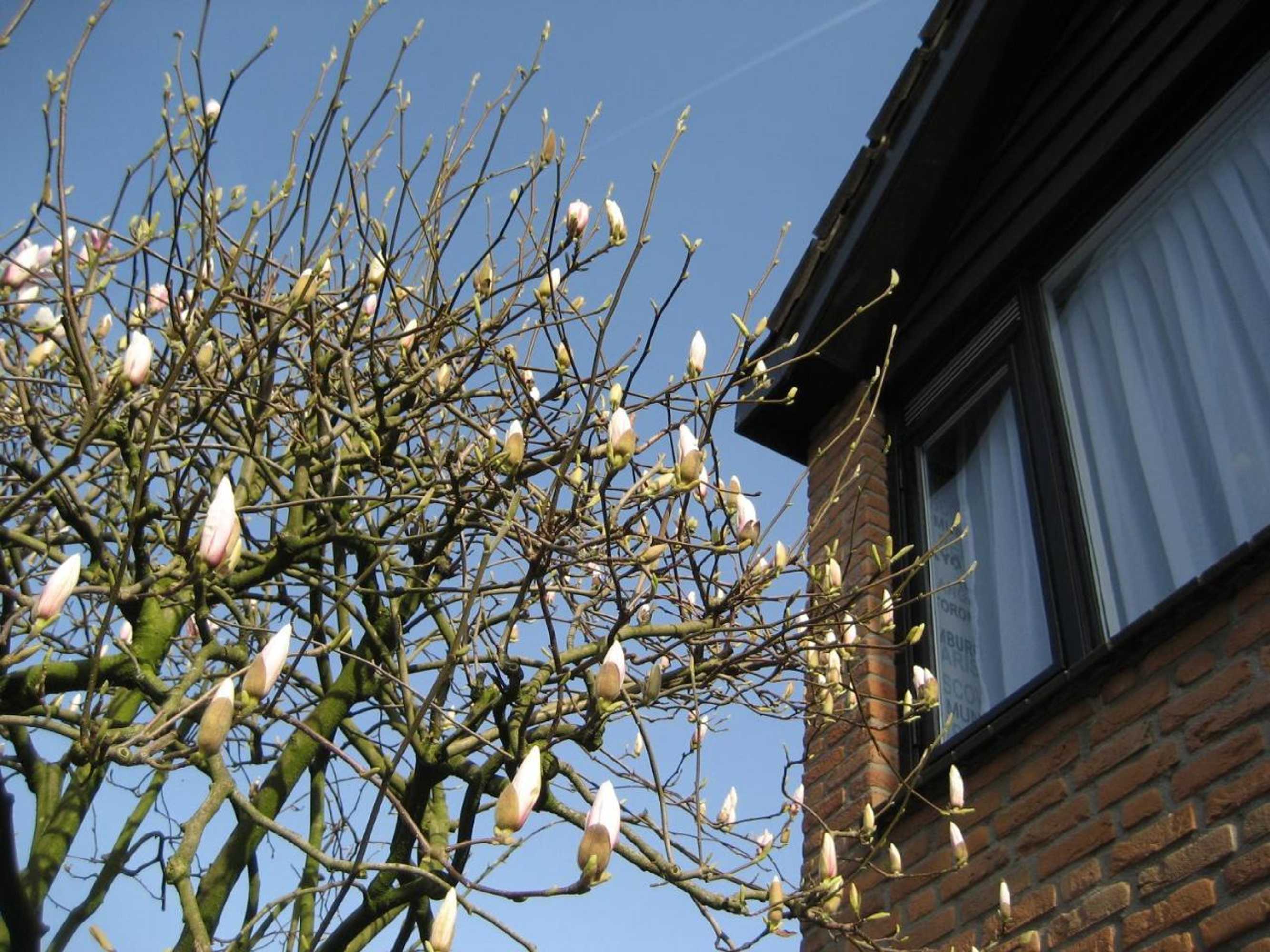 Gift card for B&b de Mozaiektegel