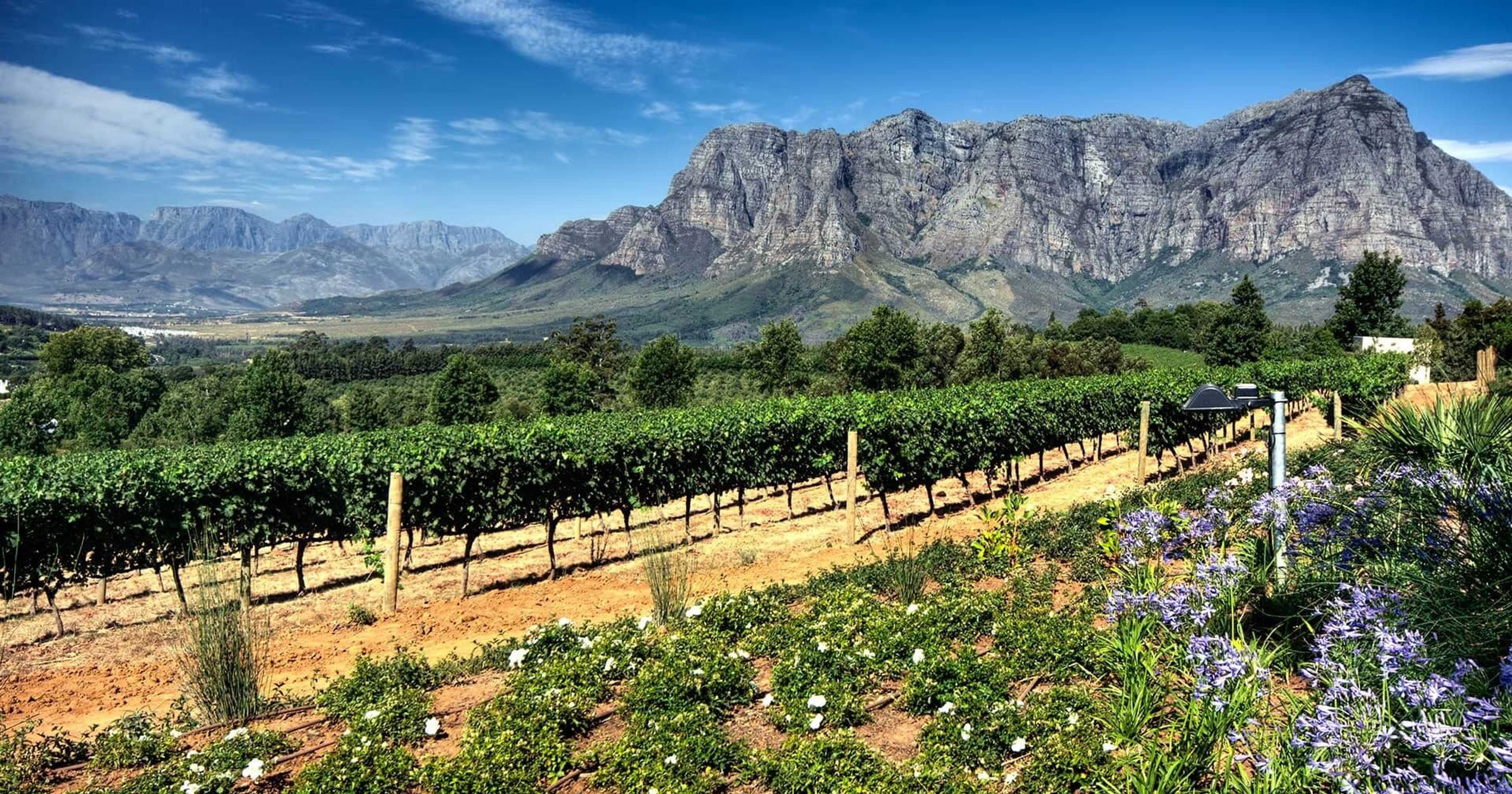 Gift card for Garden Route Hotel Gift card for Garden Route Hotel