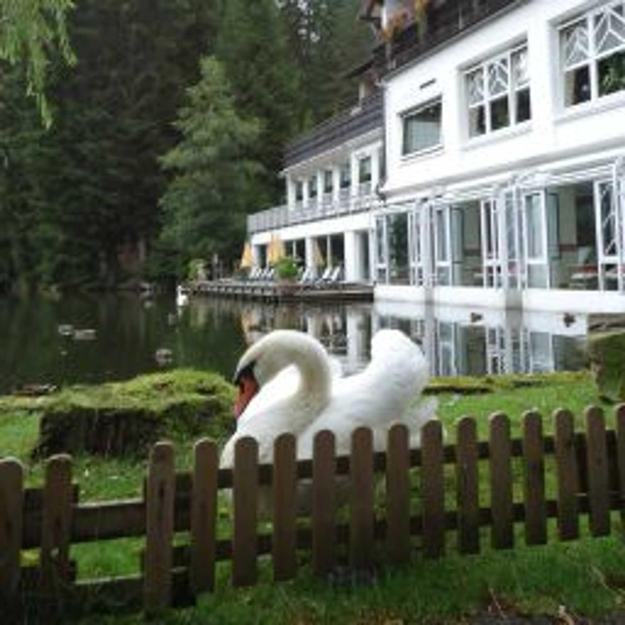 Gift card for Hotel Langenwaldsee Gift card for Hotel Langenwaldsee