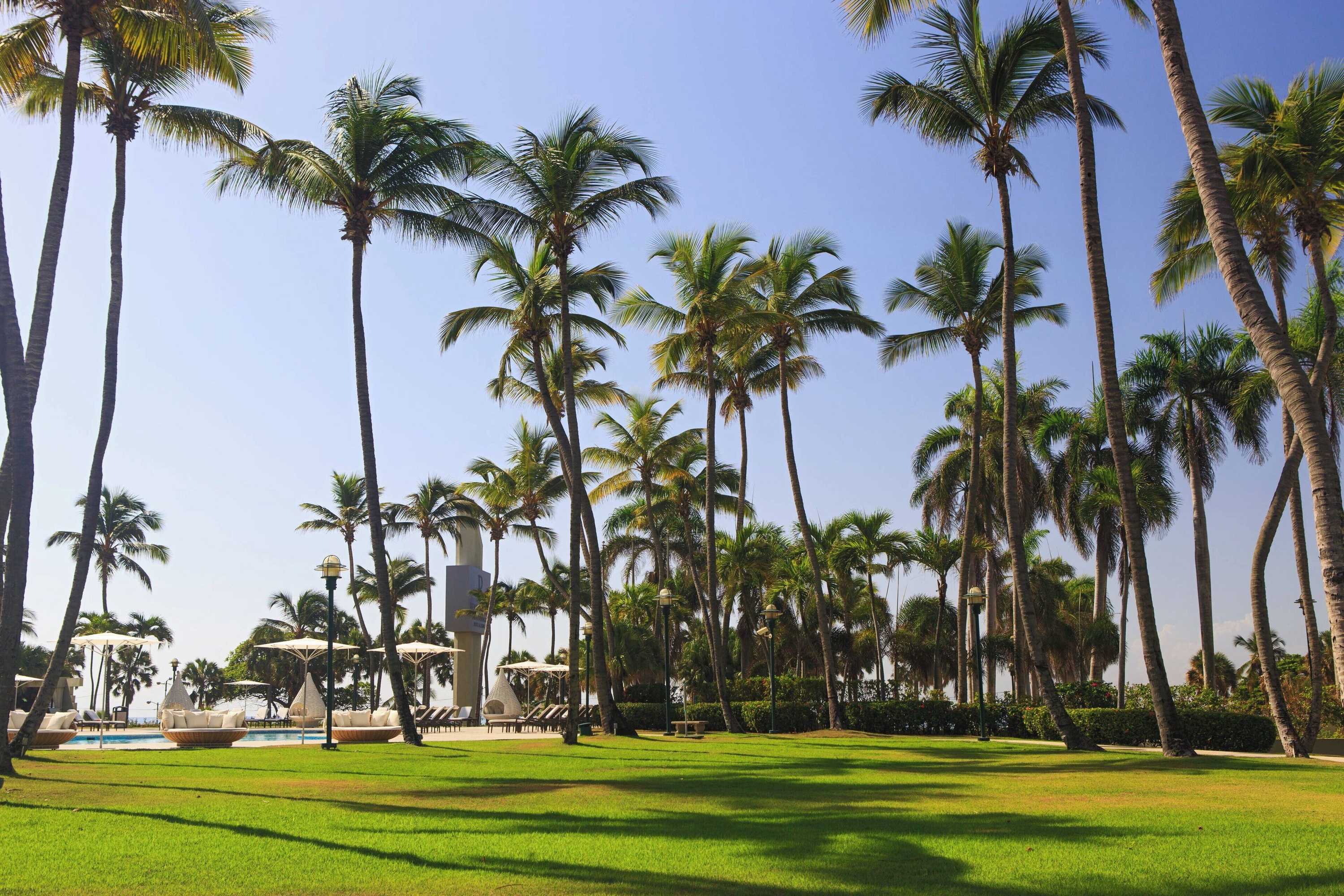 Gift card for Renaissance Santo Domingo Jaragua Hotel & Casino Gift card for Renaissance Santo Domingo Jaragua Hotel & Casino
