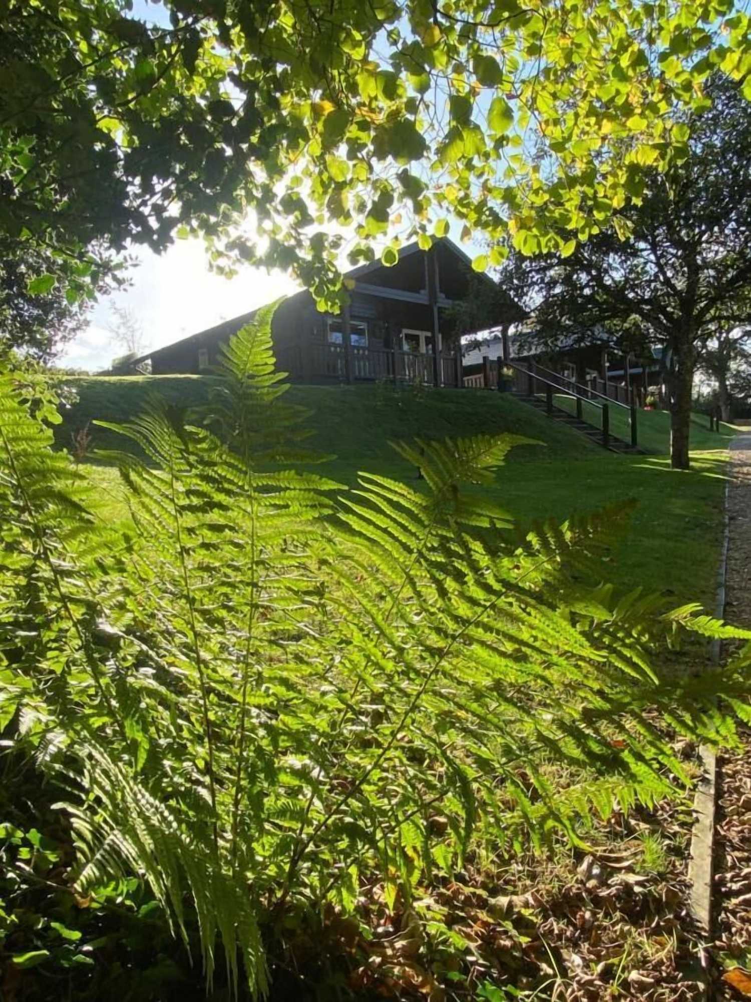 Gift card for Hollybush Lodges