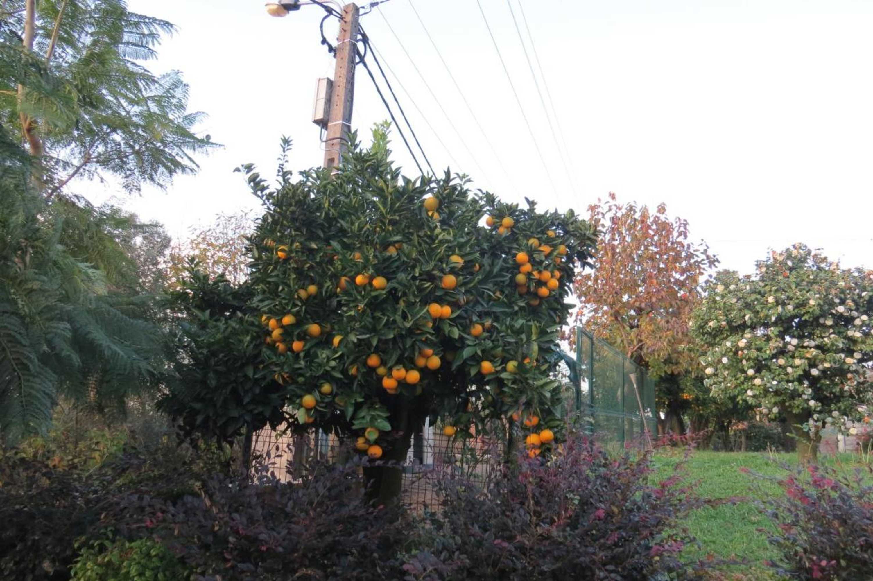 Gift card for Sweet Home Braga Hostel & Guest House Gift card for Sweet Home Braga Hostel & Guest House