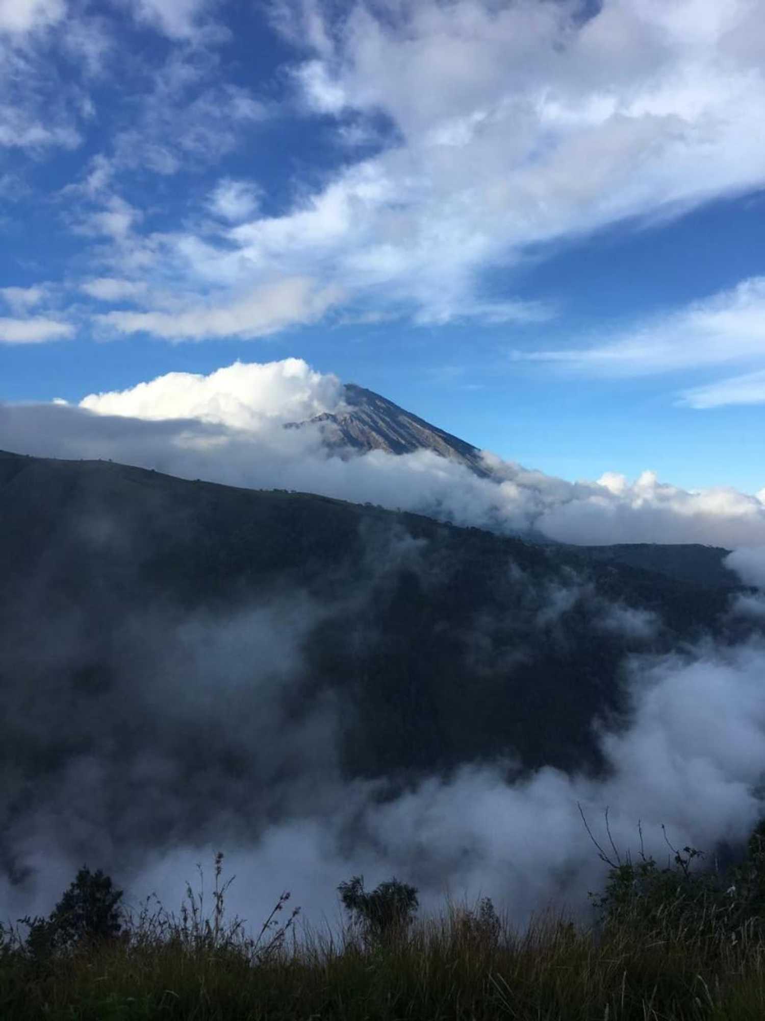 Gift card for Tereng Wilis Jungle Inn