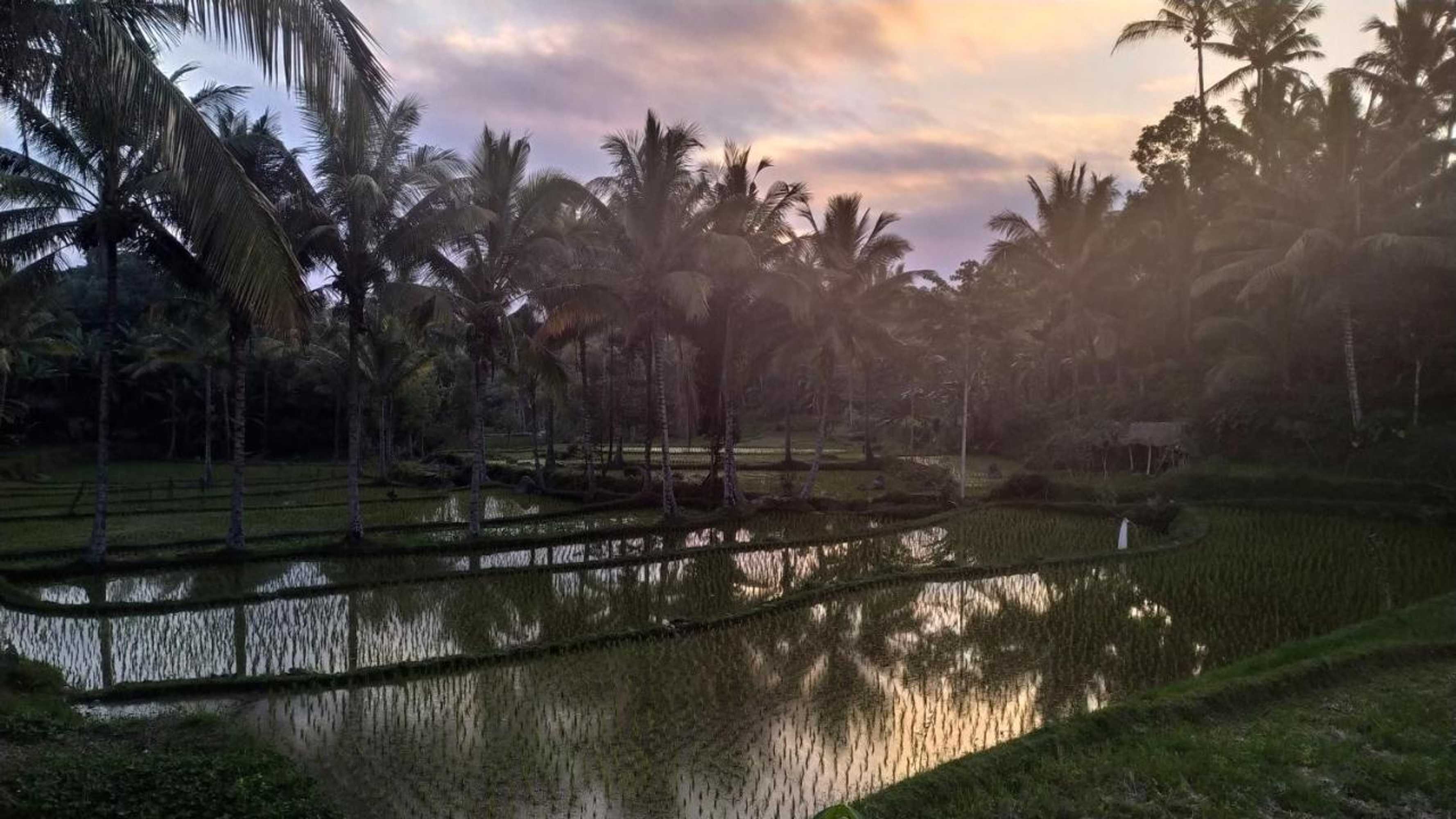 Gift card for Bale Kembang Kuning