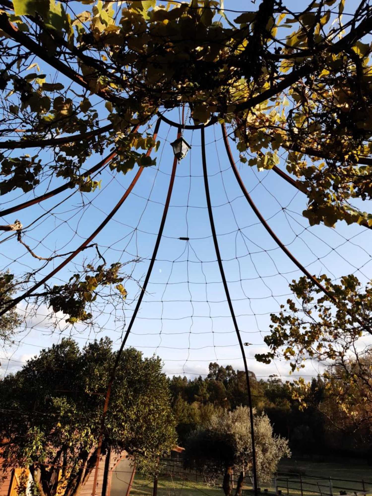 Gift card for Quinta no Pinhal