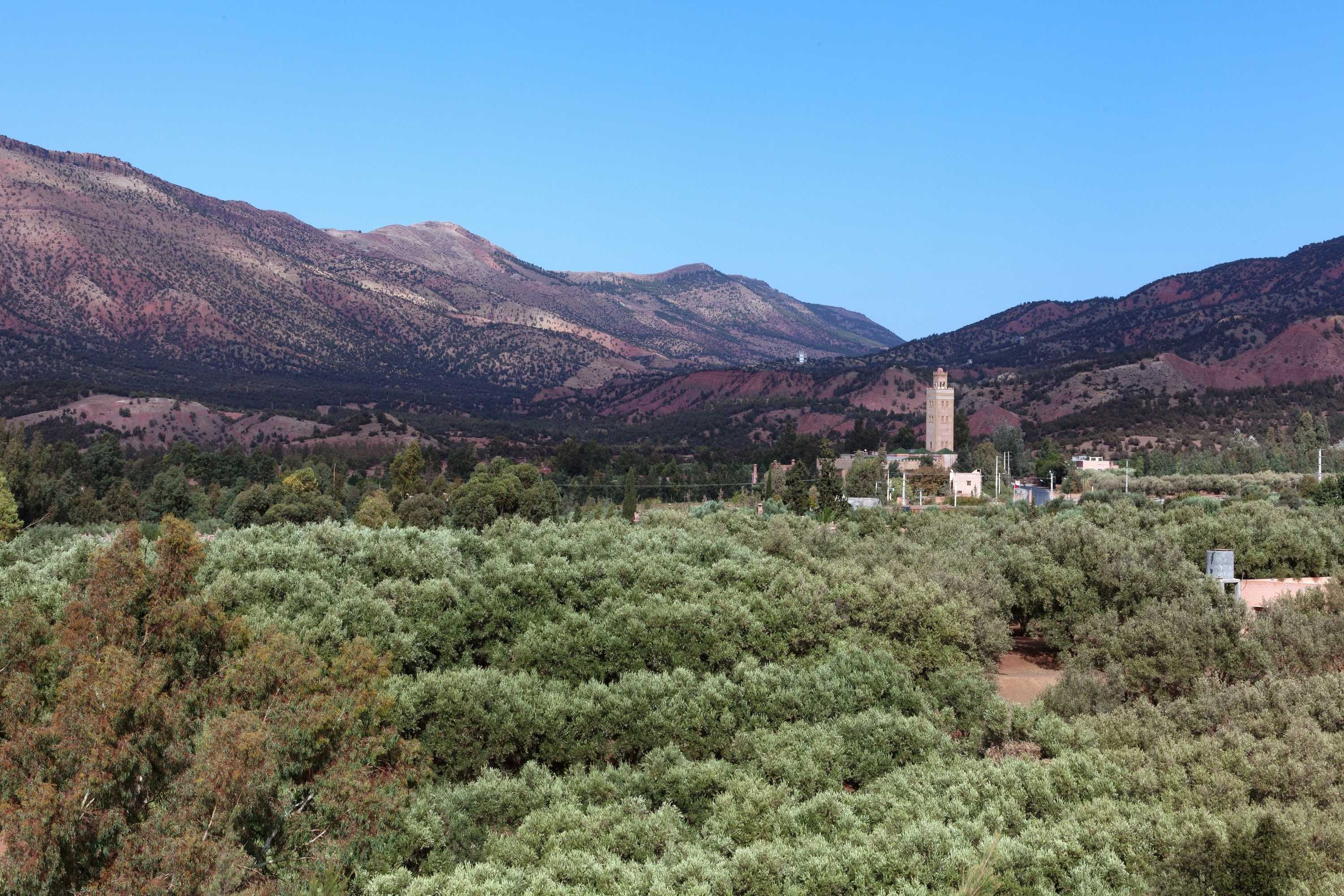 Gift card for Mohatirste