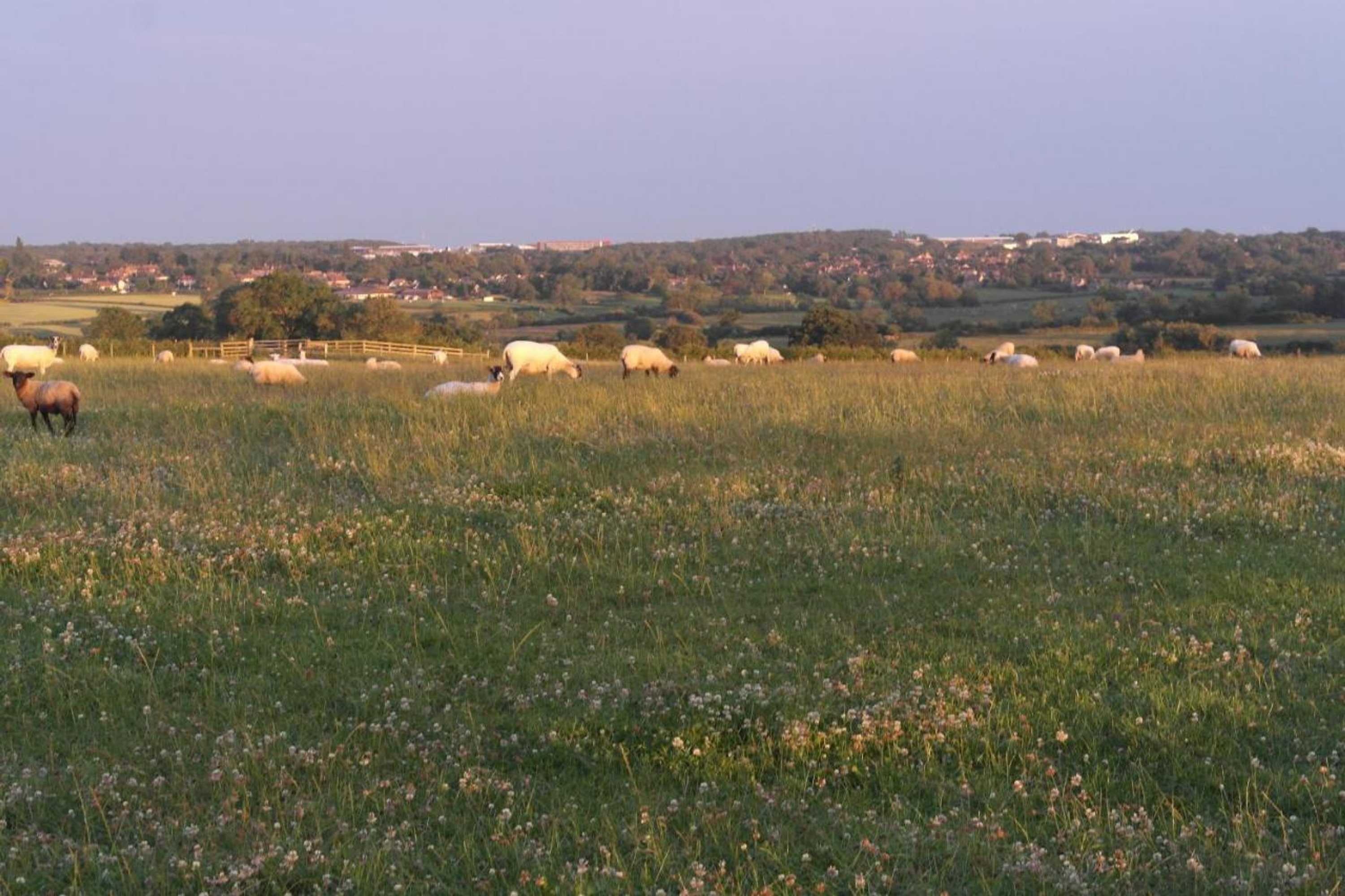 Gift card for Handley Barn