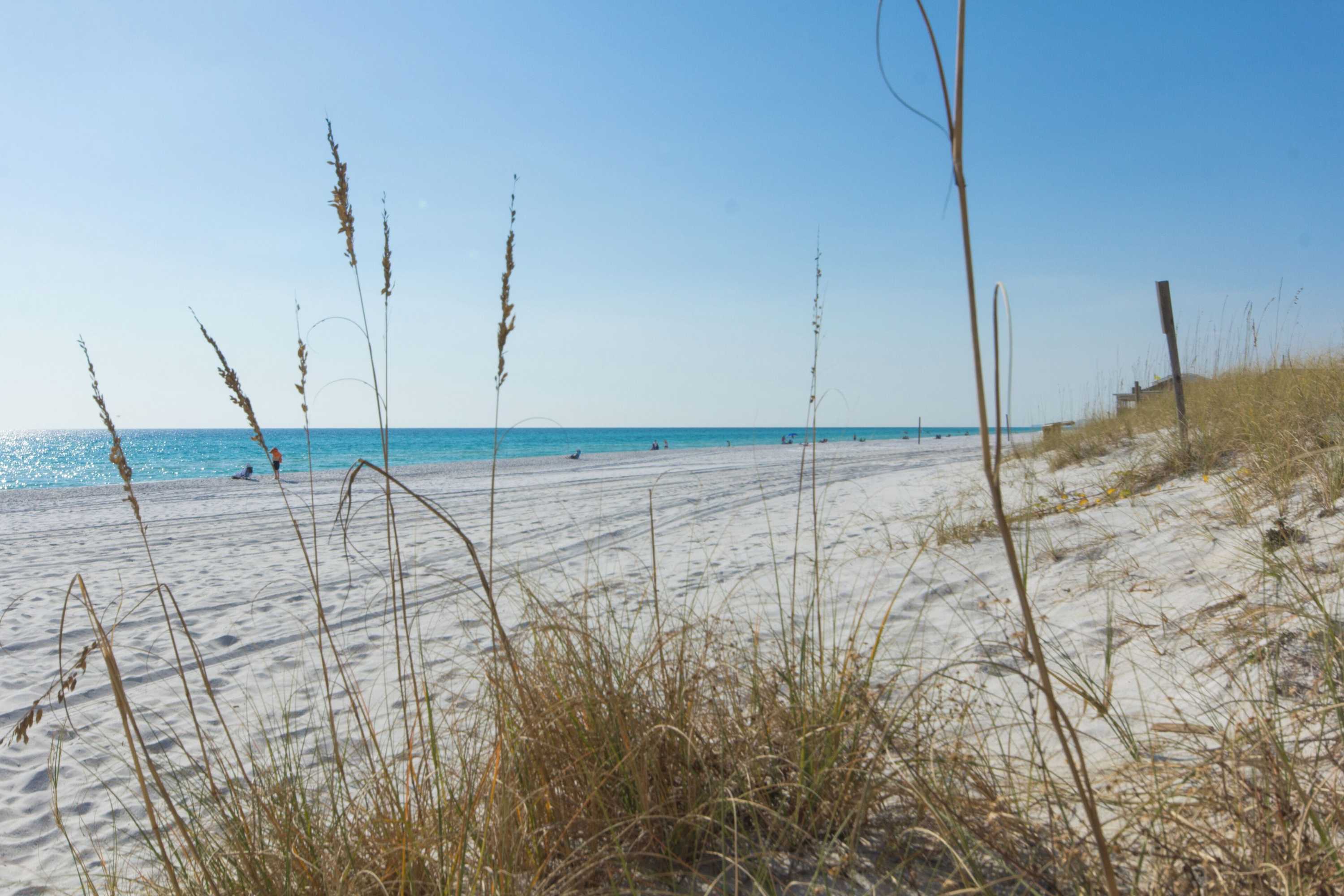 Gift card for A Seaside Beauty! Book Now - Lot of Outdoor Living Space Gift card for A Seaside Beauty! Book Now - Lot of Outdoor Living Space