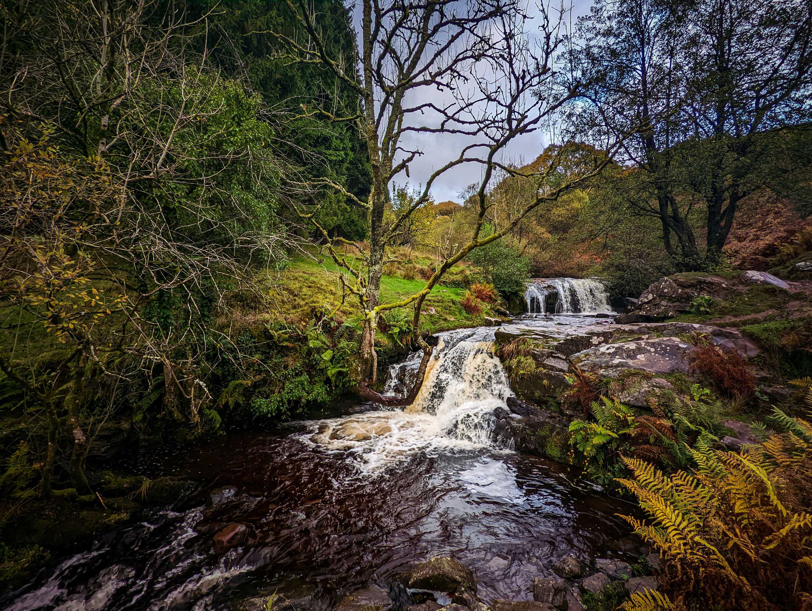 Gift card for Mill Lodge Brecon Beacons Gift card for Mill Lodge Brecon Beacons