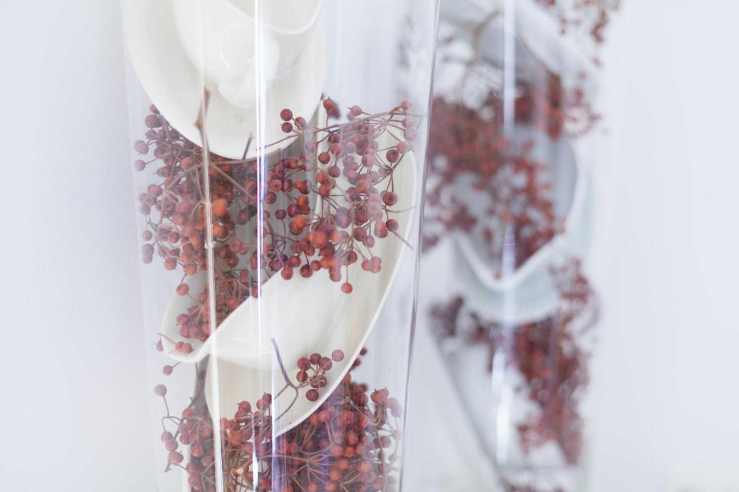 Gift card for Darley's