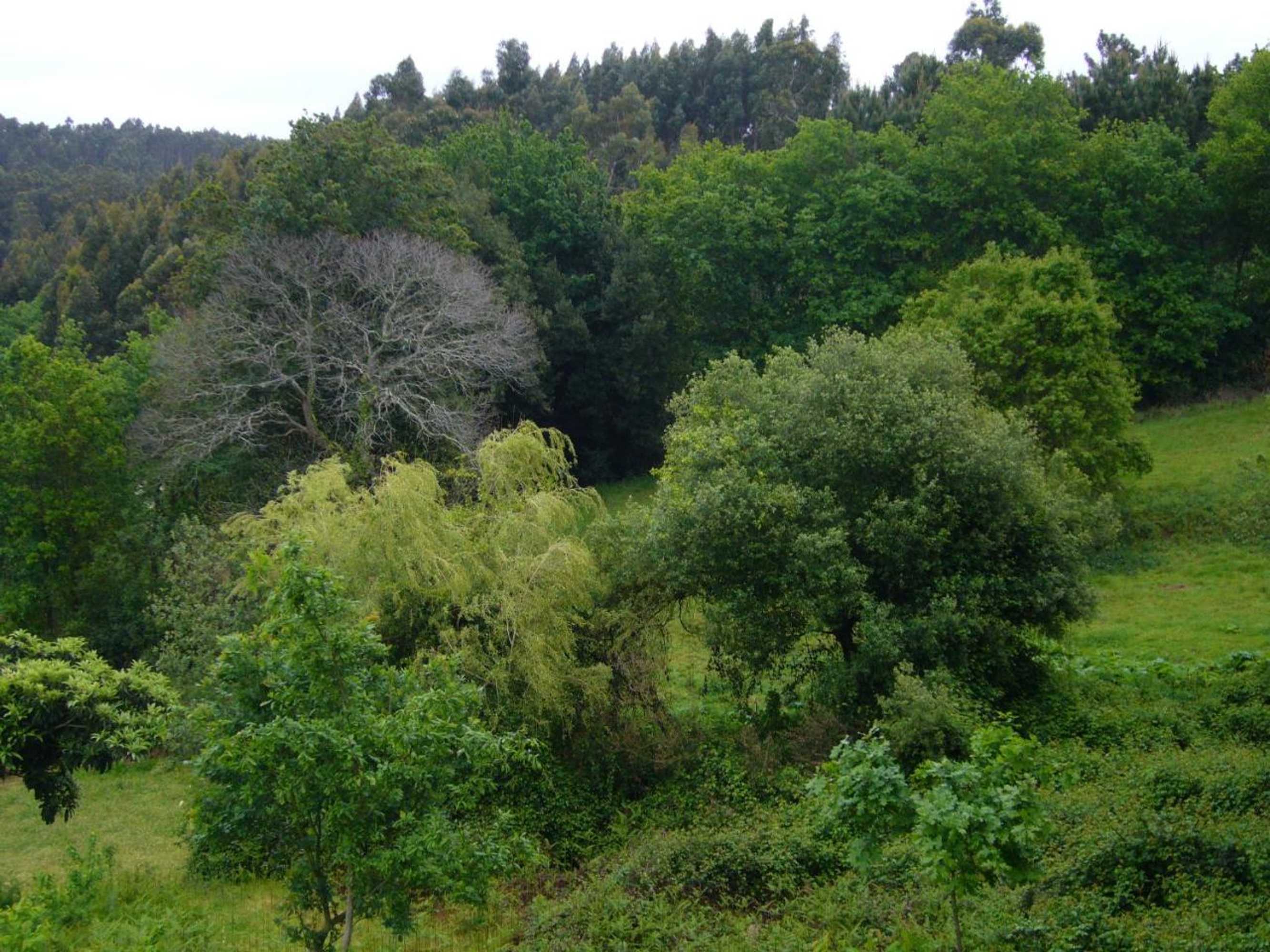 Gift card for Casa Vila Palmeira