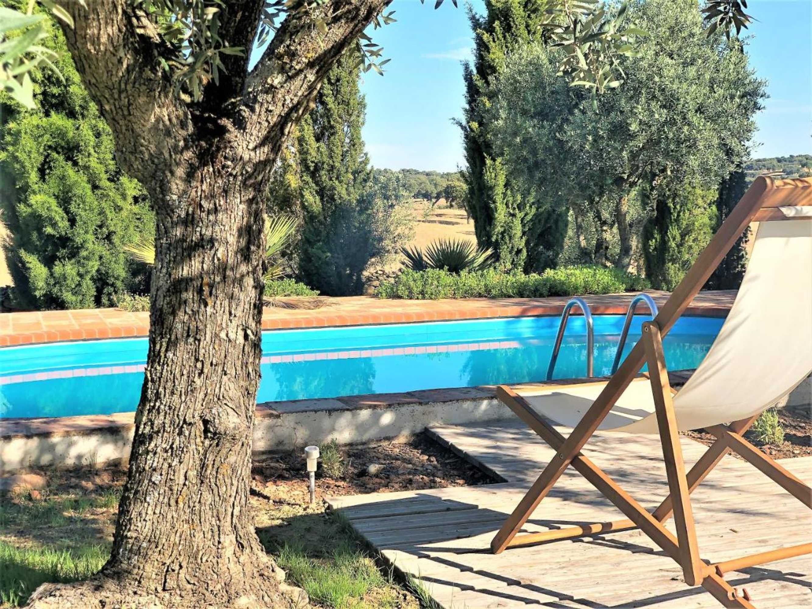 Gift card for Monte Papa Toucinho