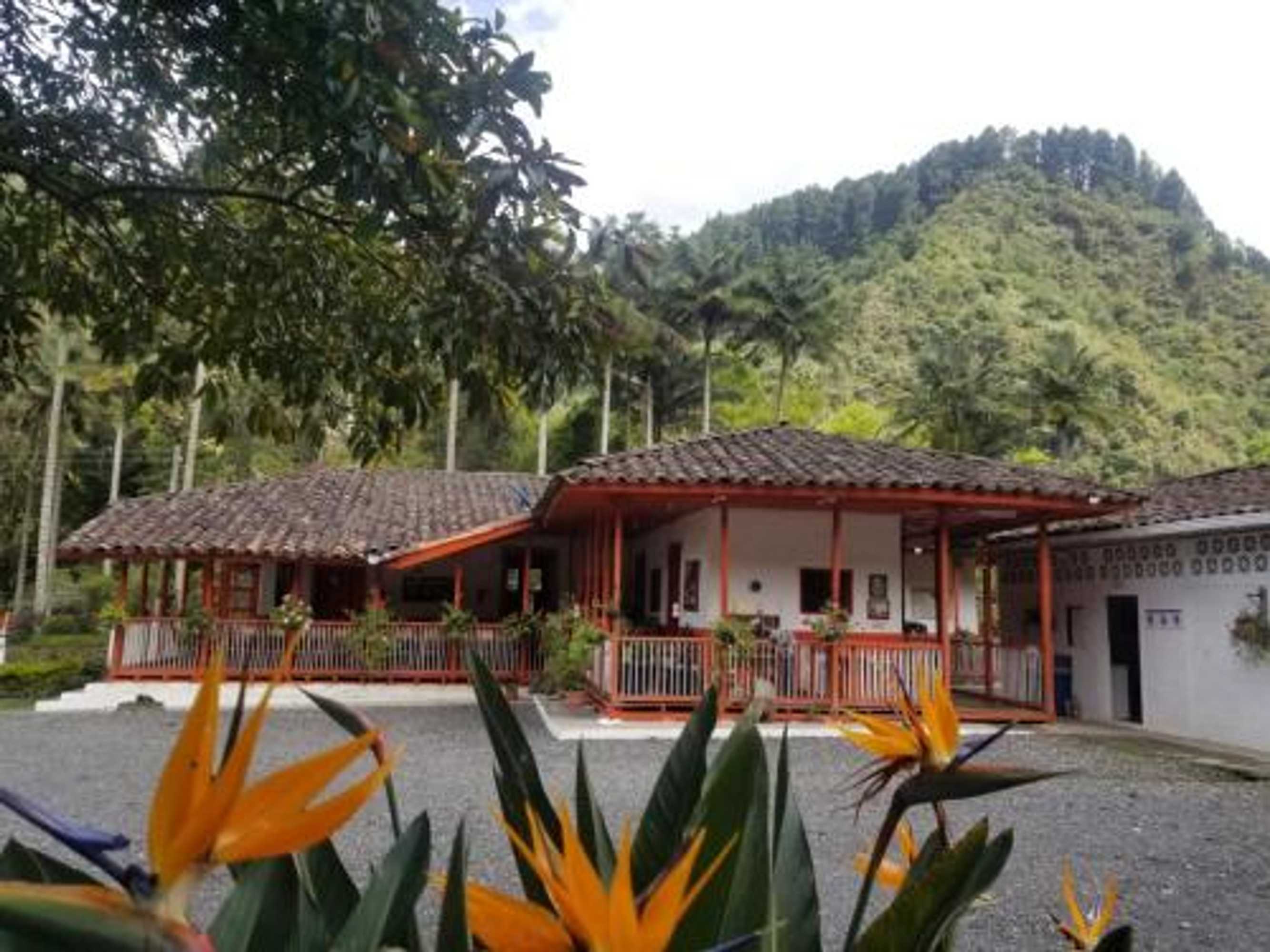 Gift card for Hostal Rio Arabia - Valle De Cocora Hotel Gift card for Hostal Rio Arabia - Valle De Cocora Hotel