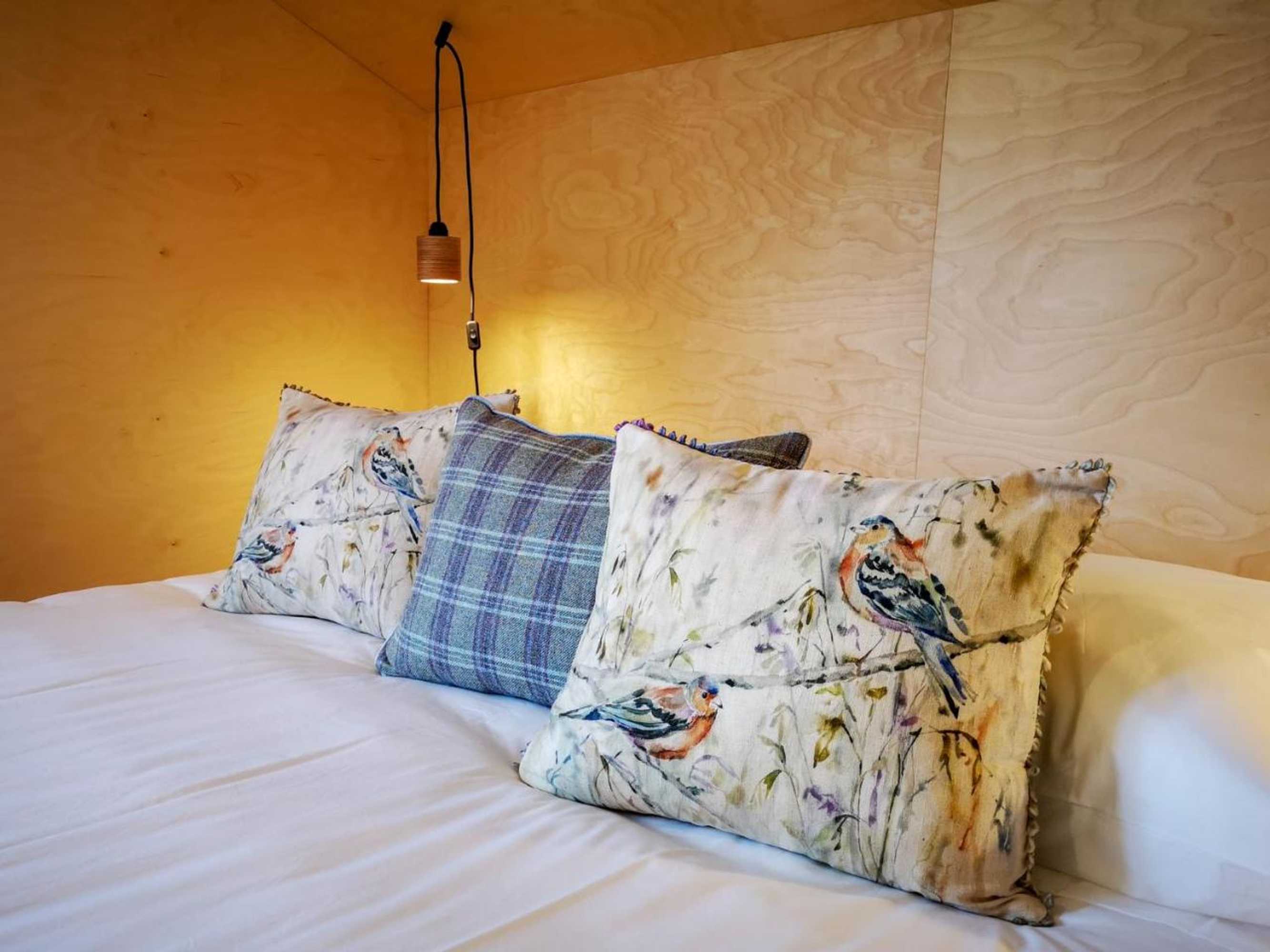 Gift card for Solar da Castanha - Forest House