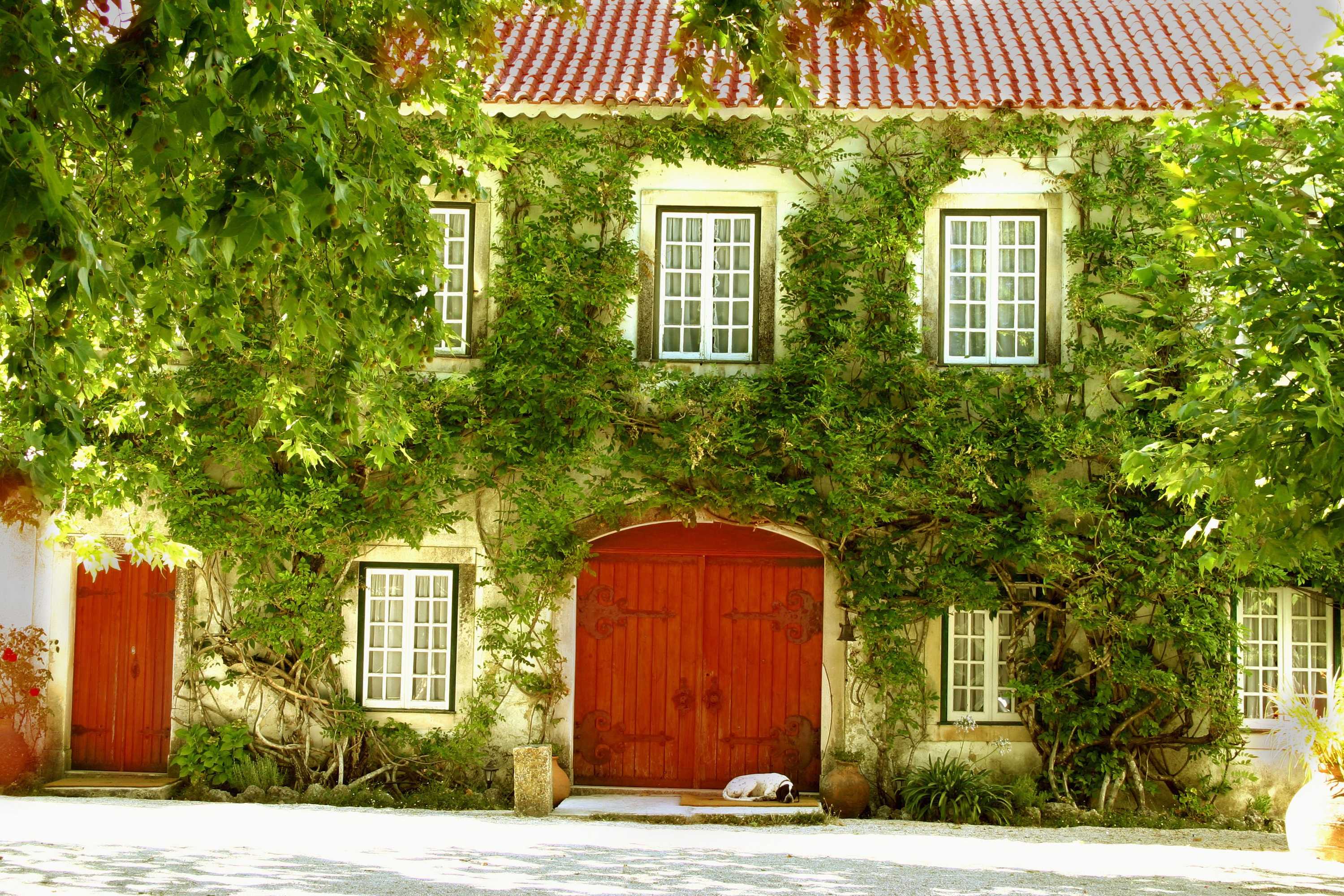 Gift card for Quinta da Alcaidaria Mór Gift card for Quinta da Alcaidaria Mór