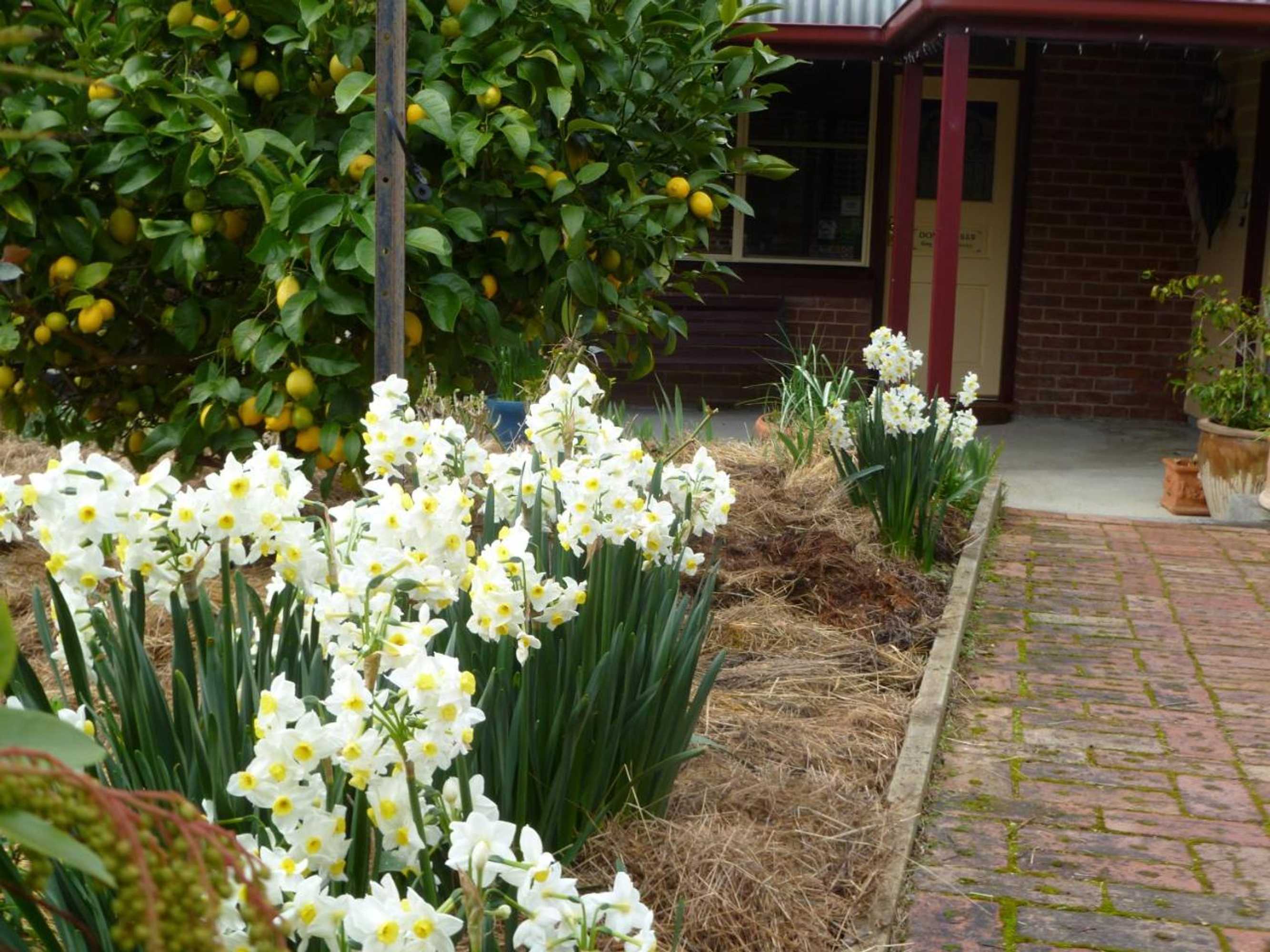 Gift card for Donalea Bed & Breakfast