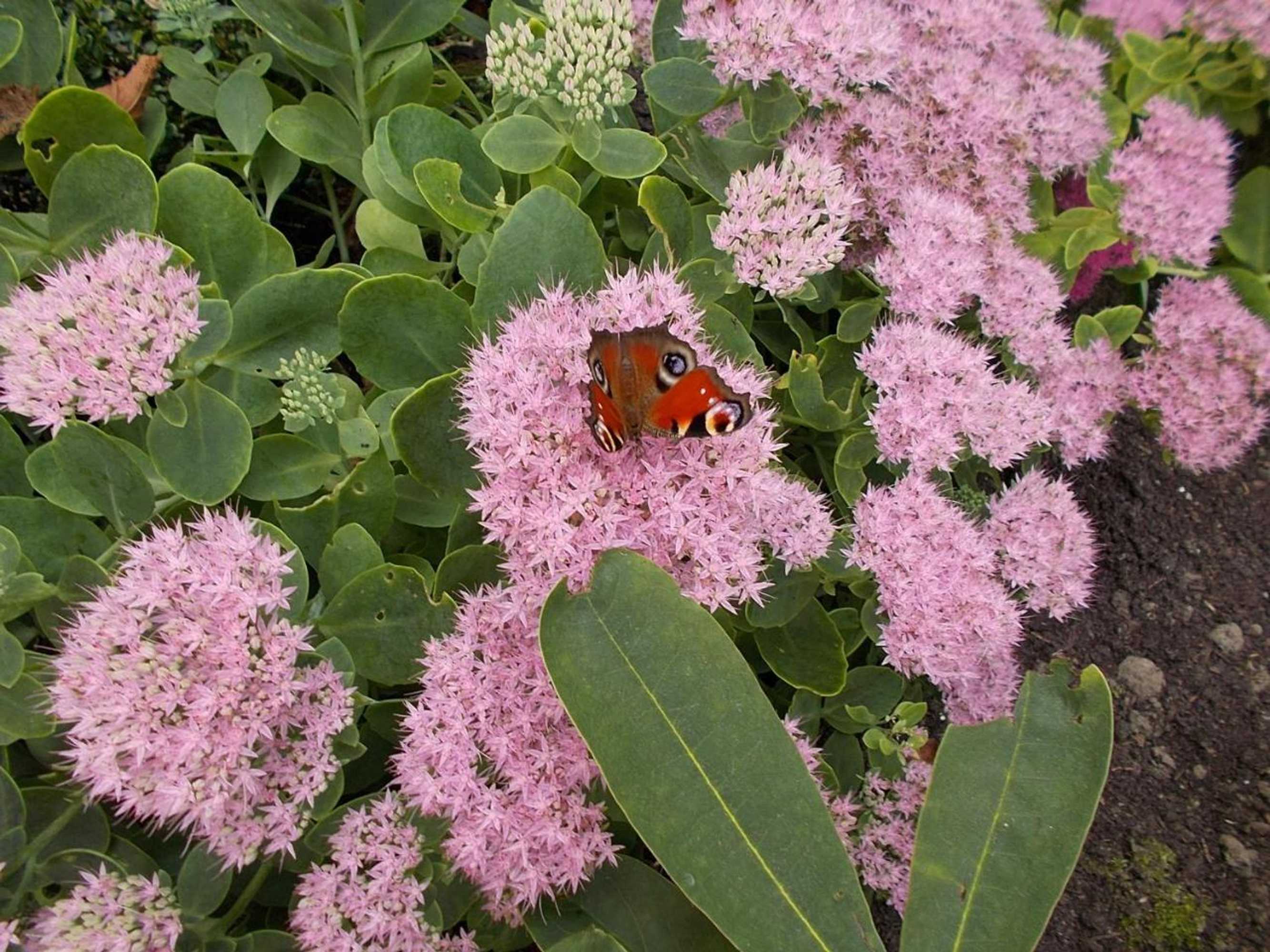 Gift card for Bed op de Reth