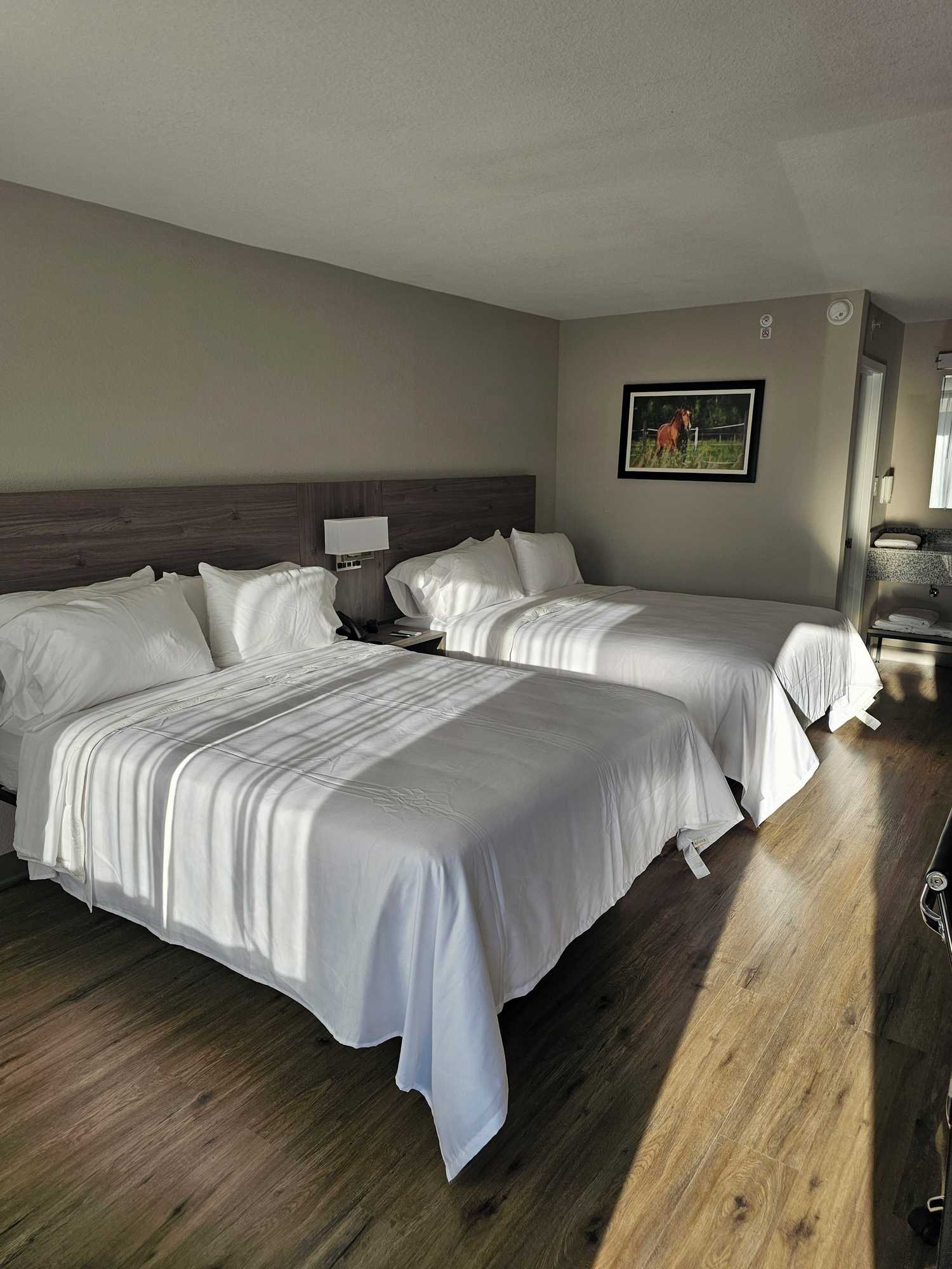 Gift card for Quality Inn & Suites Ocala I-75 Gift card for Quality Inn & Suites Ocala I-75
