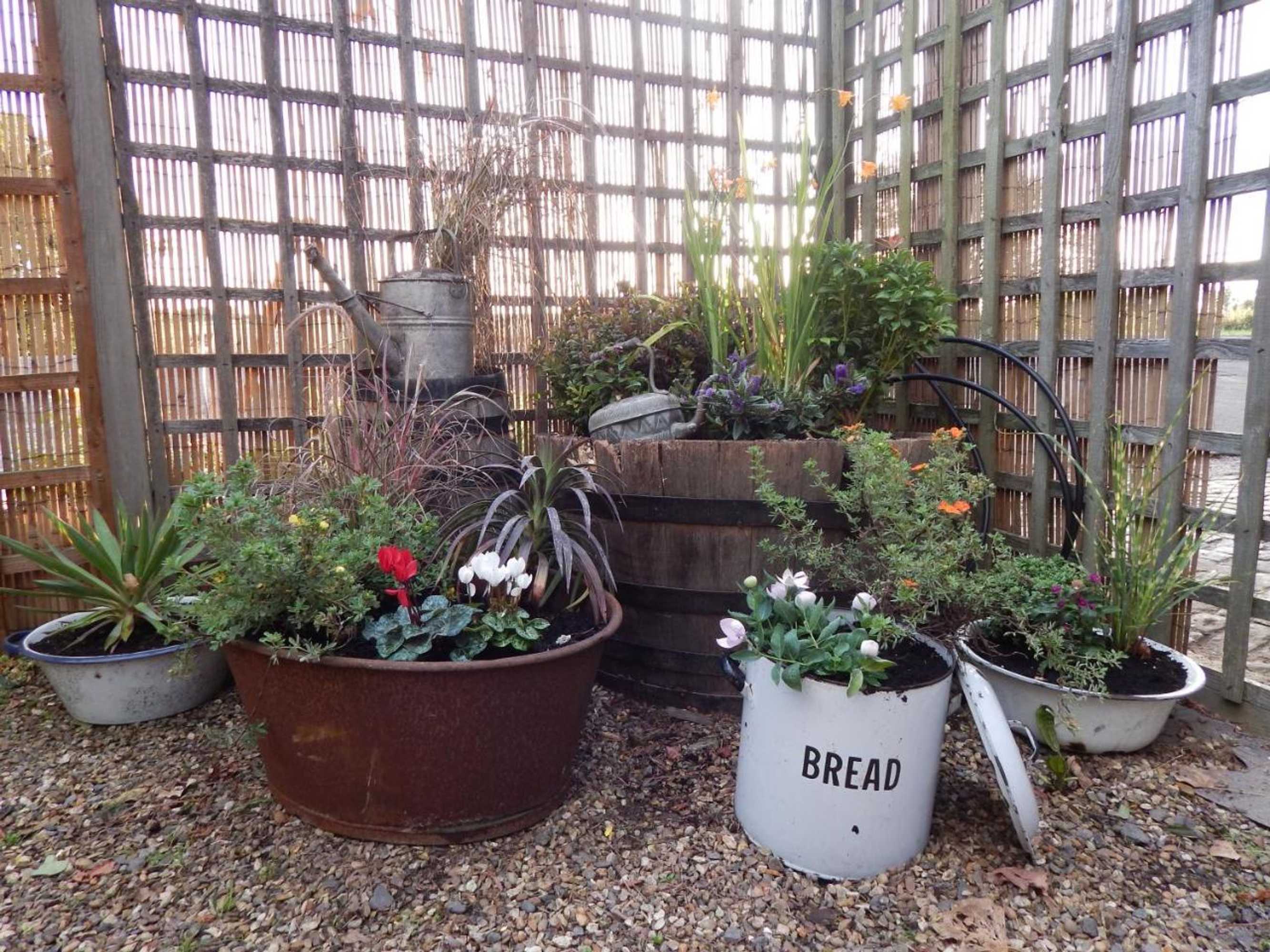 Gift card for The Ivy House