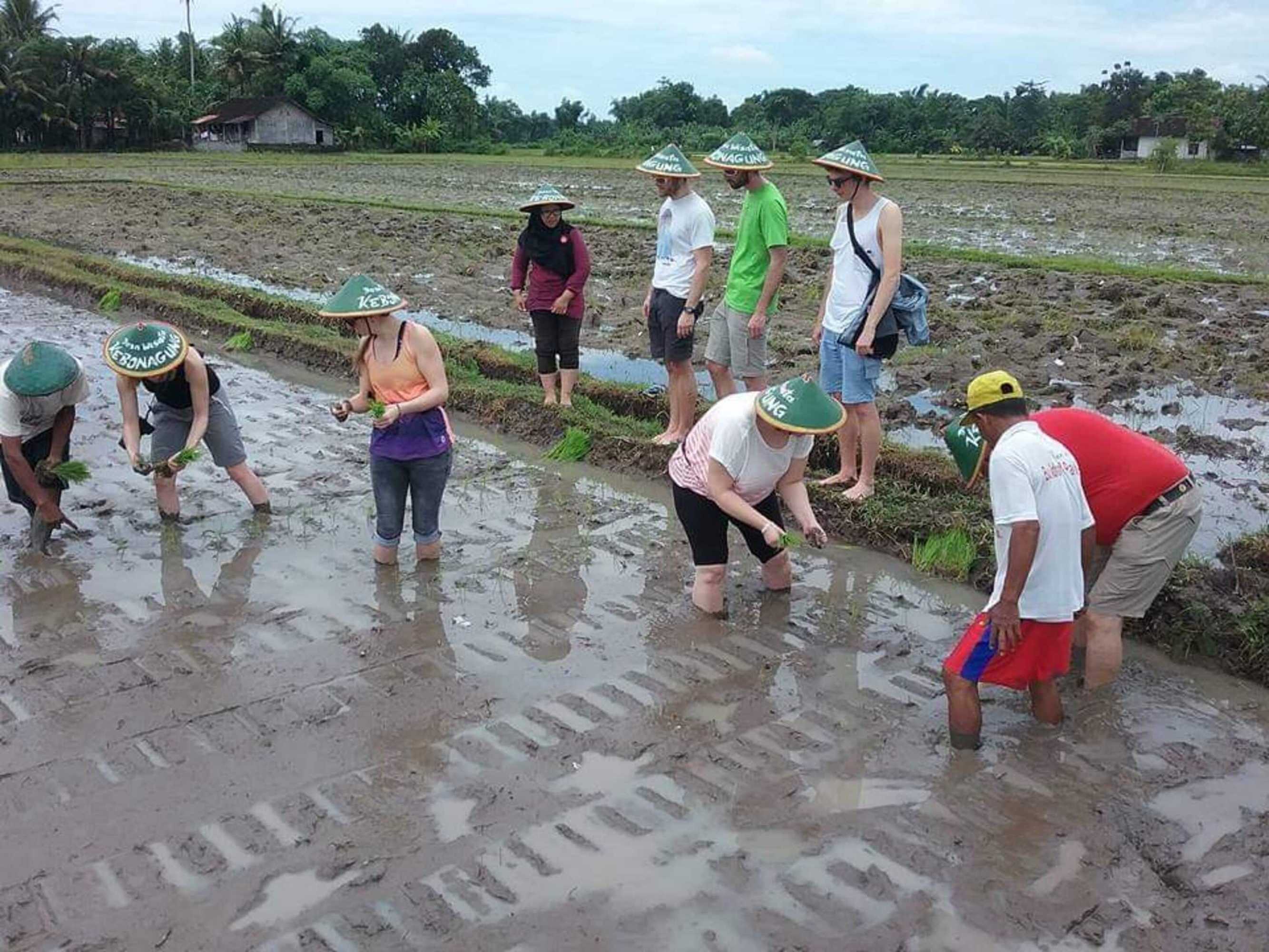 Gift card for Narti Homestay