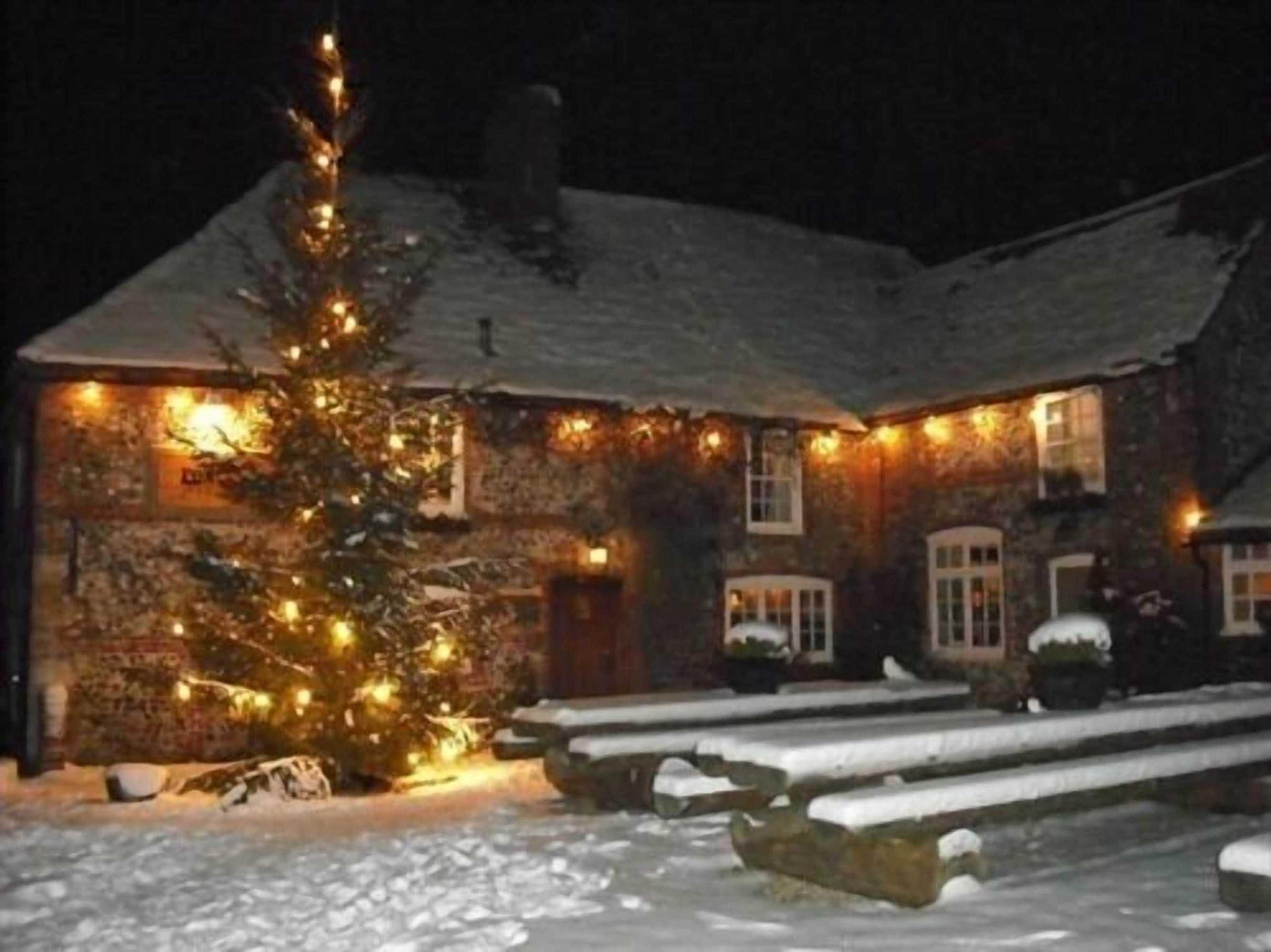 Gift card for The Fox Goes Free