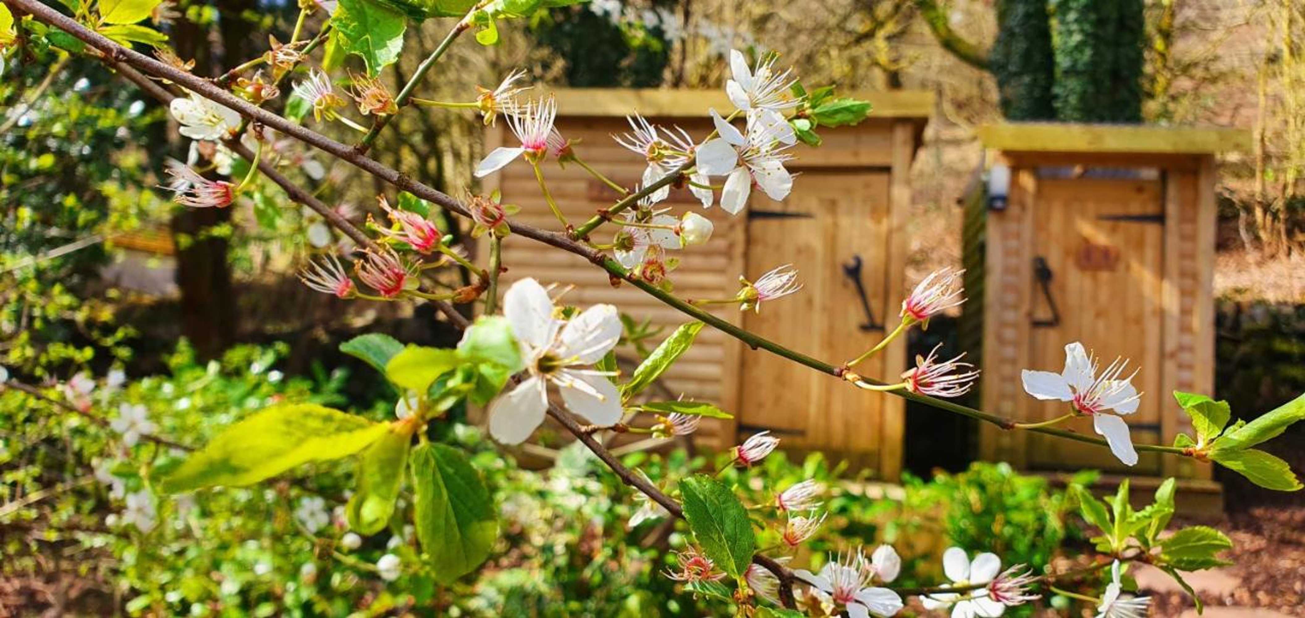 Gift card for Miners Log Cabin