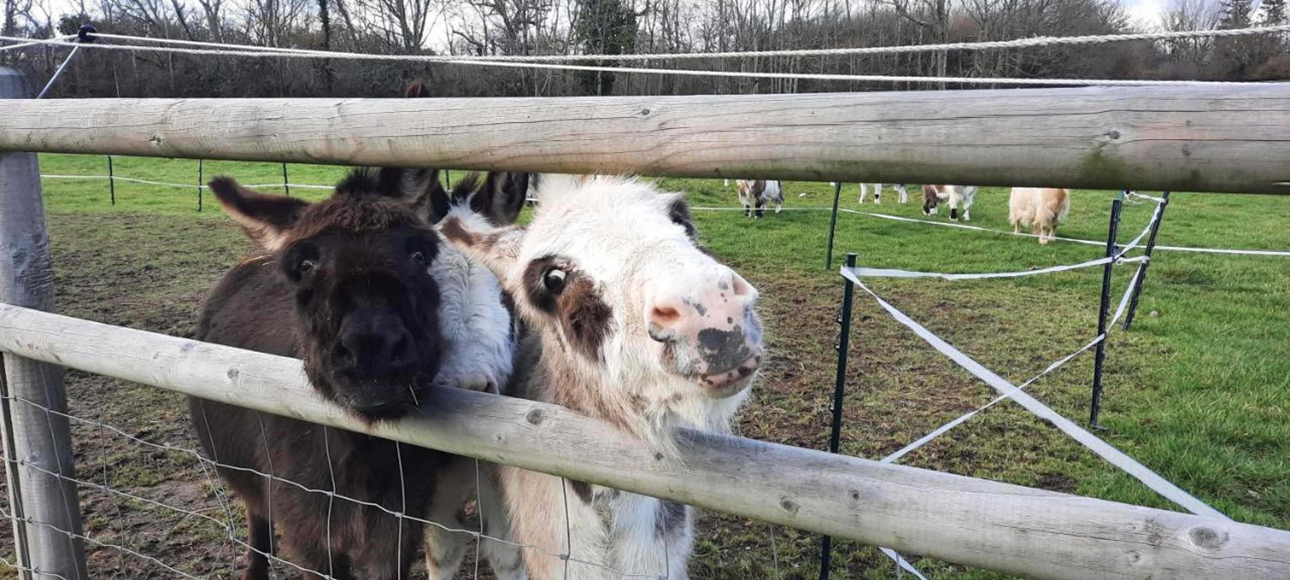 Gift card for Blashford Manor Farmhouse - New Forest Cottage Gift card for Blashford Manor Farmhouse - New Forest Cottage