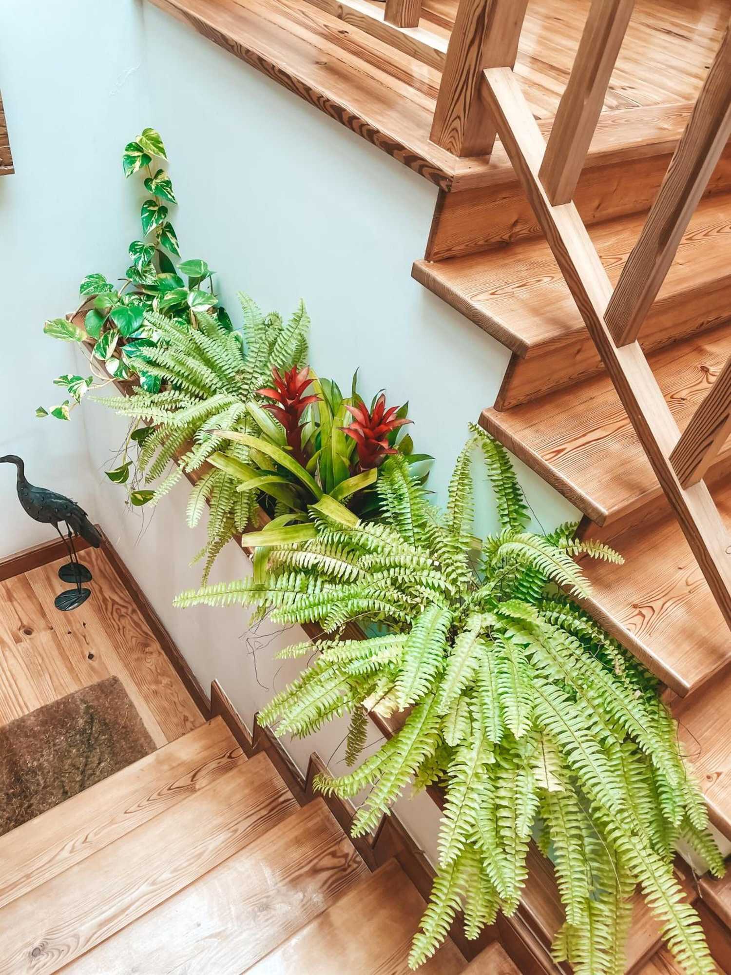 Gift card for Quinta Amarela