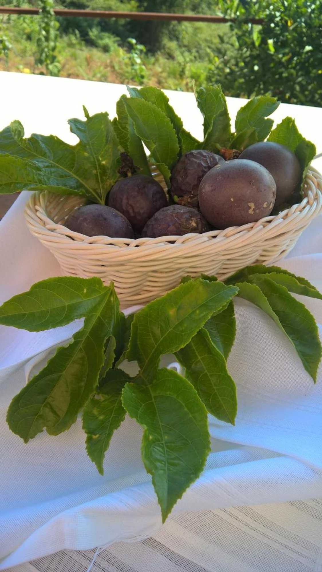 Gift card for Alto Belo