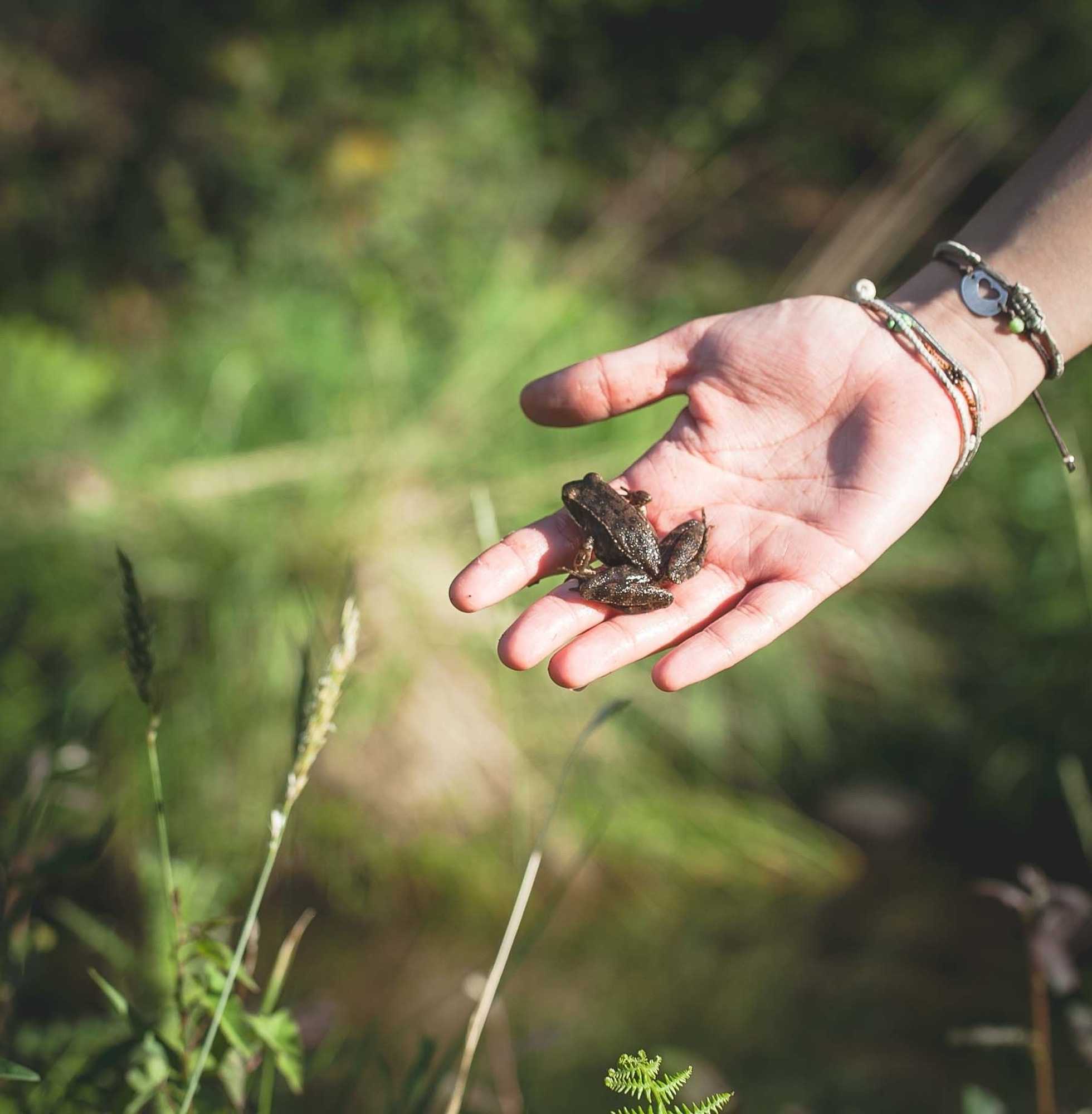 Gift card for Quinta de Mos