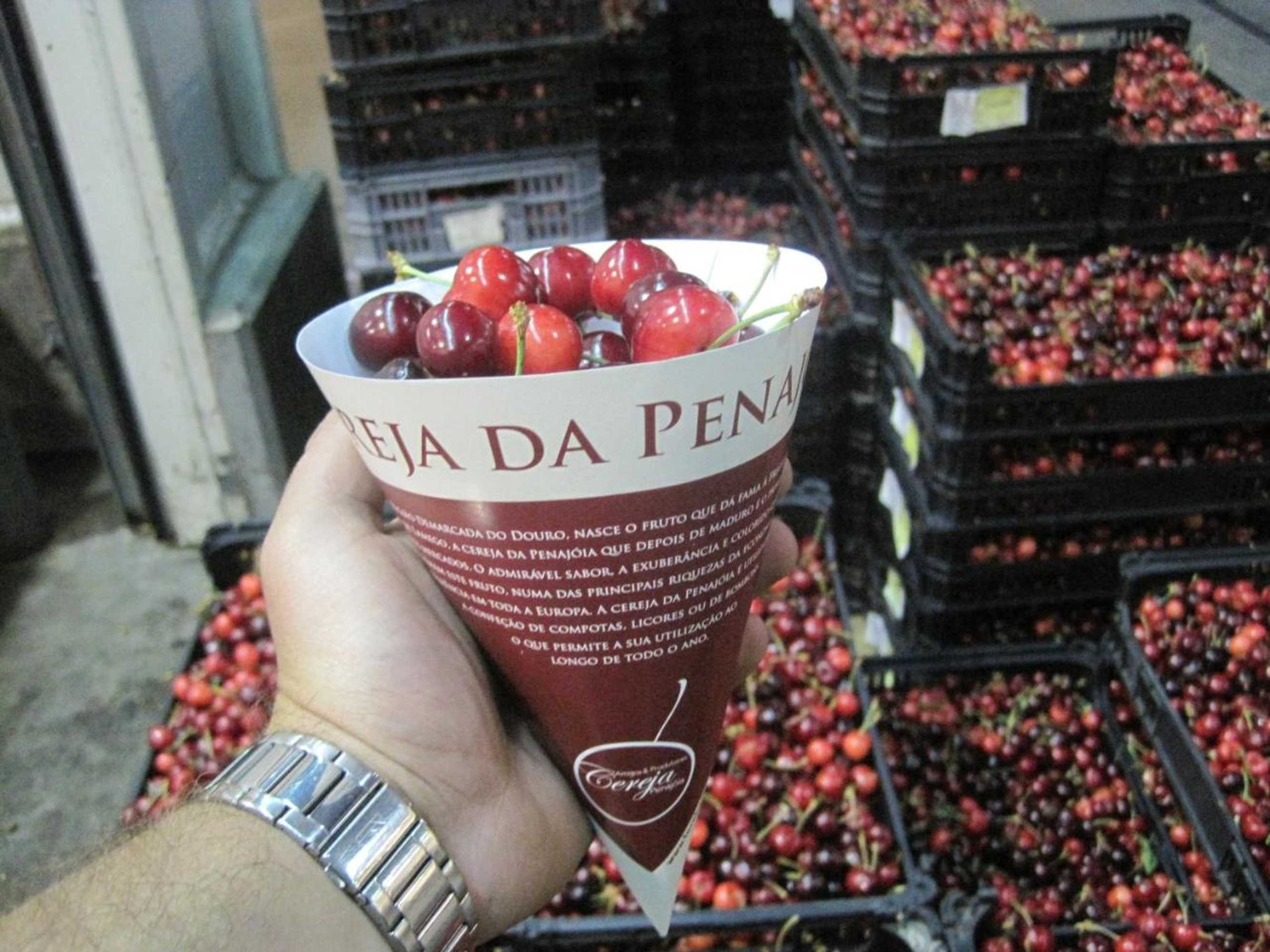 Gift card for Quinta do Pombal Douro