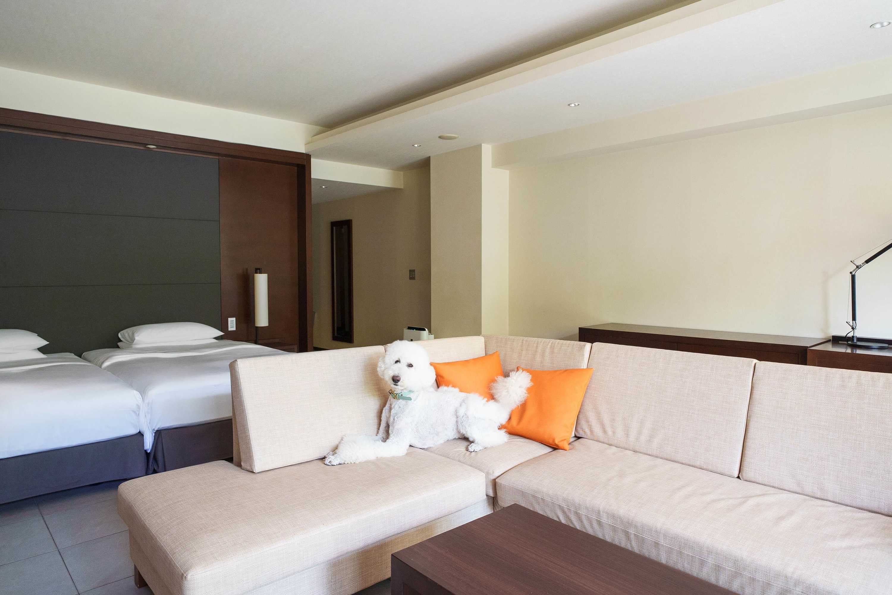 Gift card for Hyatt Regency Hakone Resort And Spa